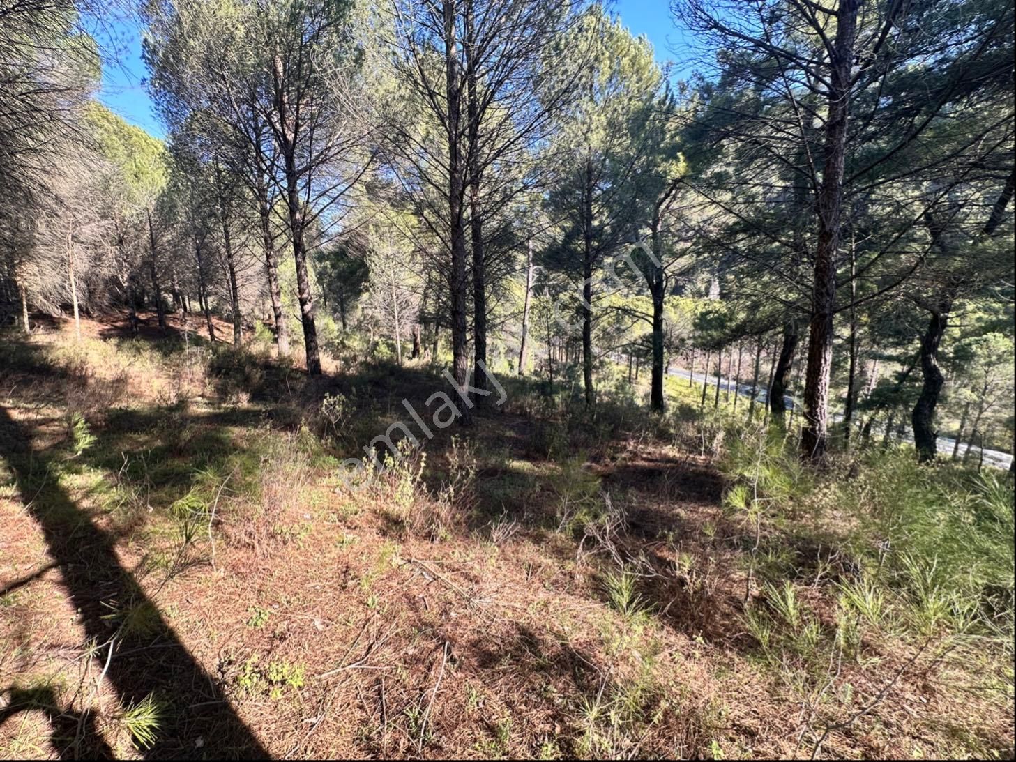 Bergamada Satılık Tarla - Görsel 6