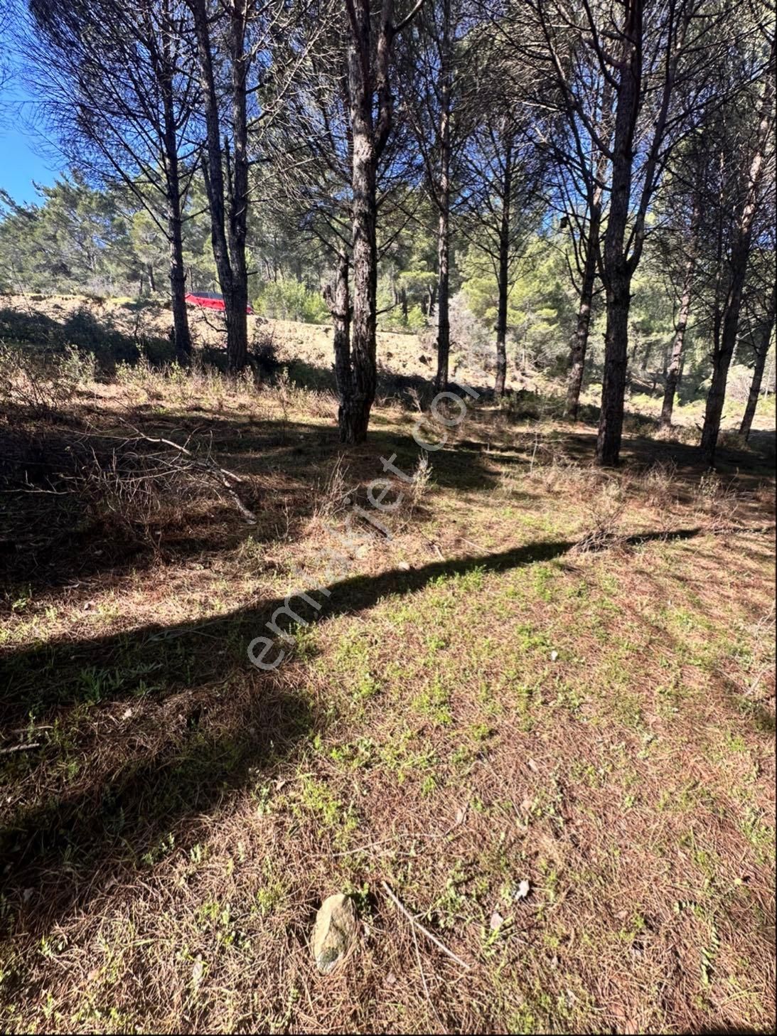 Bergamada Satılık Tarla - Görsel 9