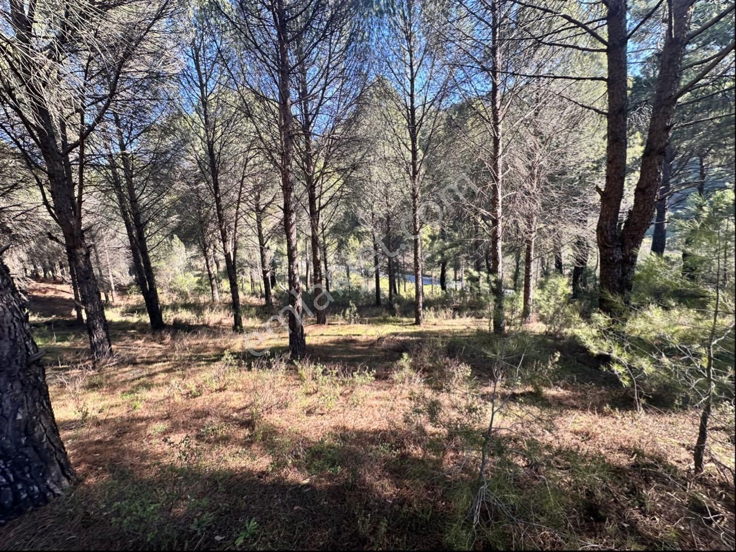 Bergamada Satılık Tarla - Görsel 16