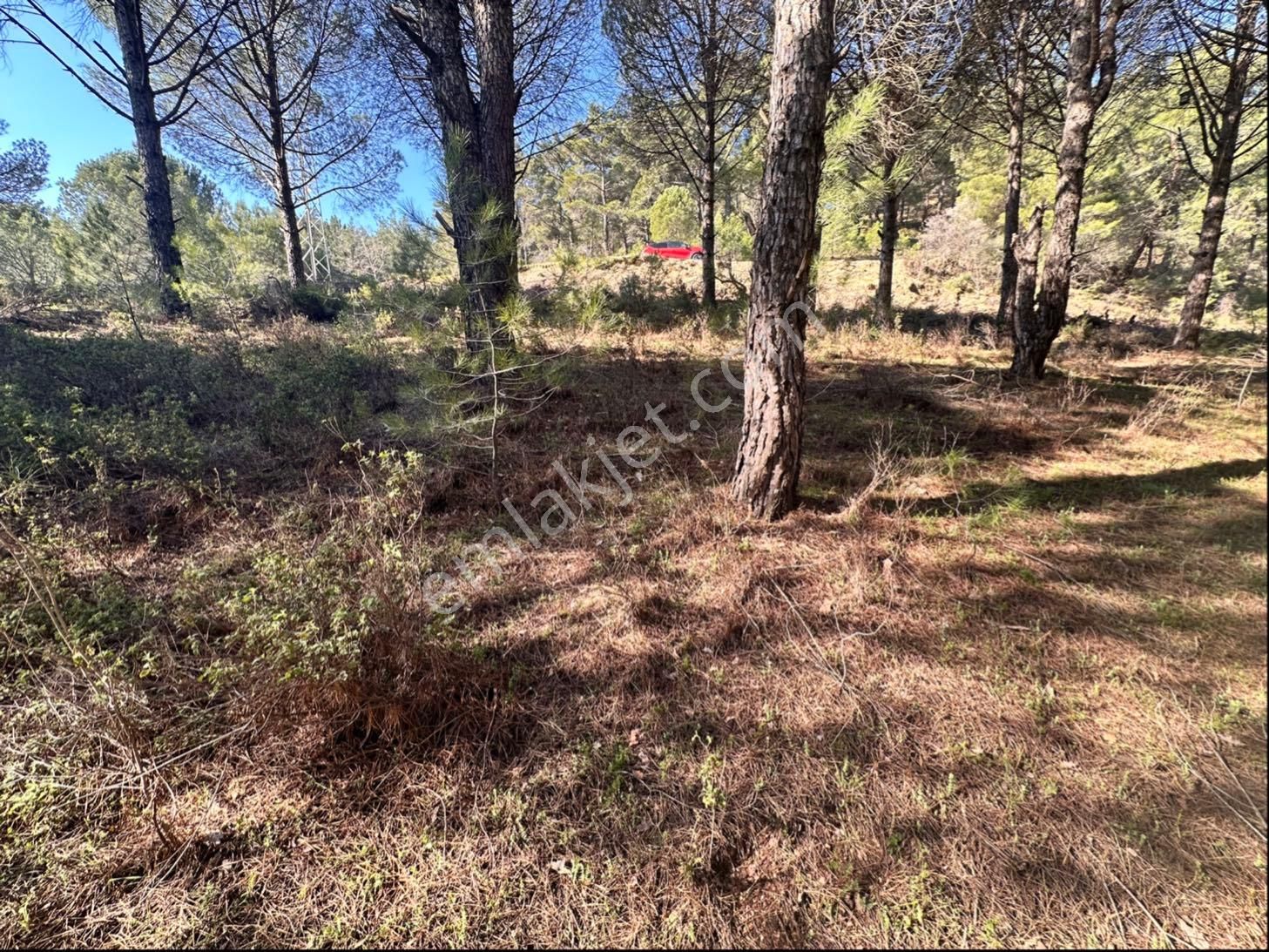 Bergamada Satılık Tarla - Görsel 8