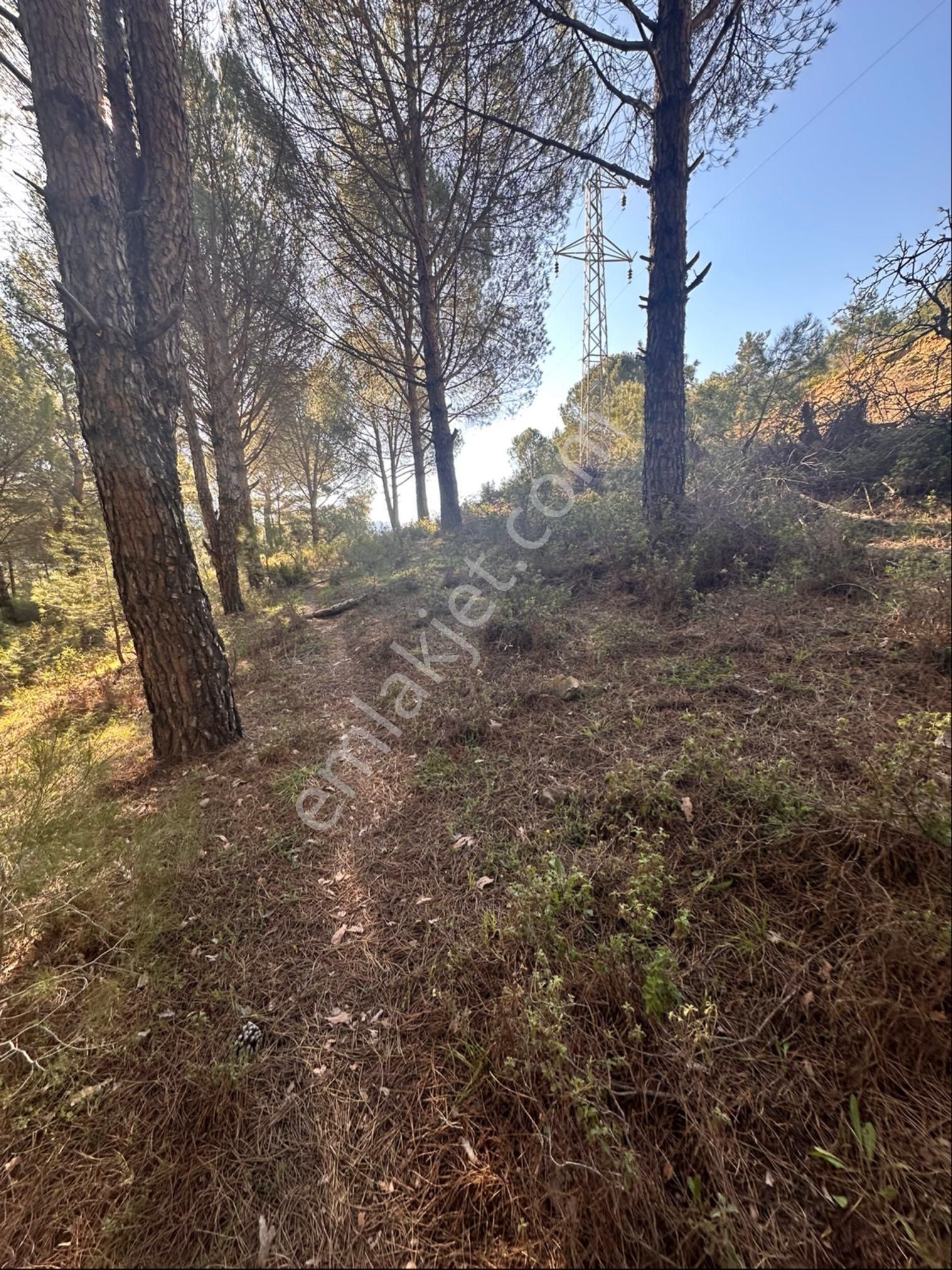 Bergamada Satılık Tarla - Görsel 12