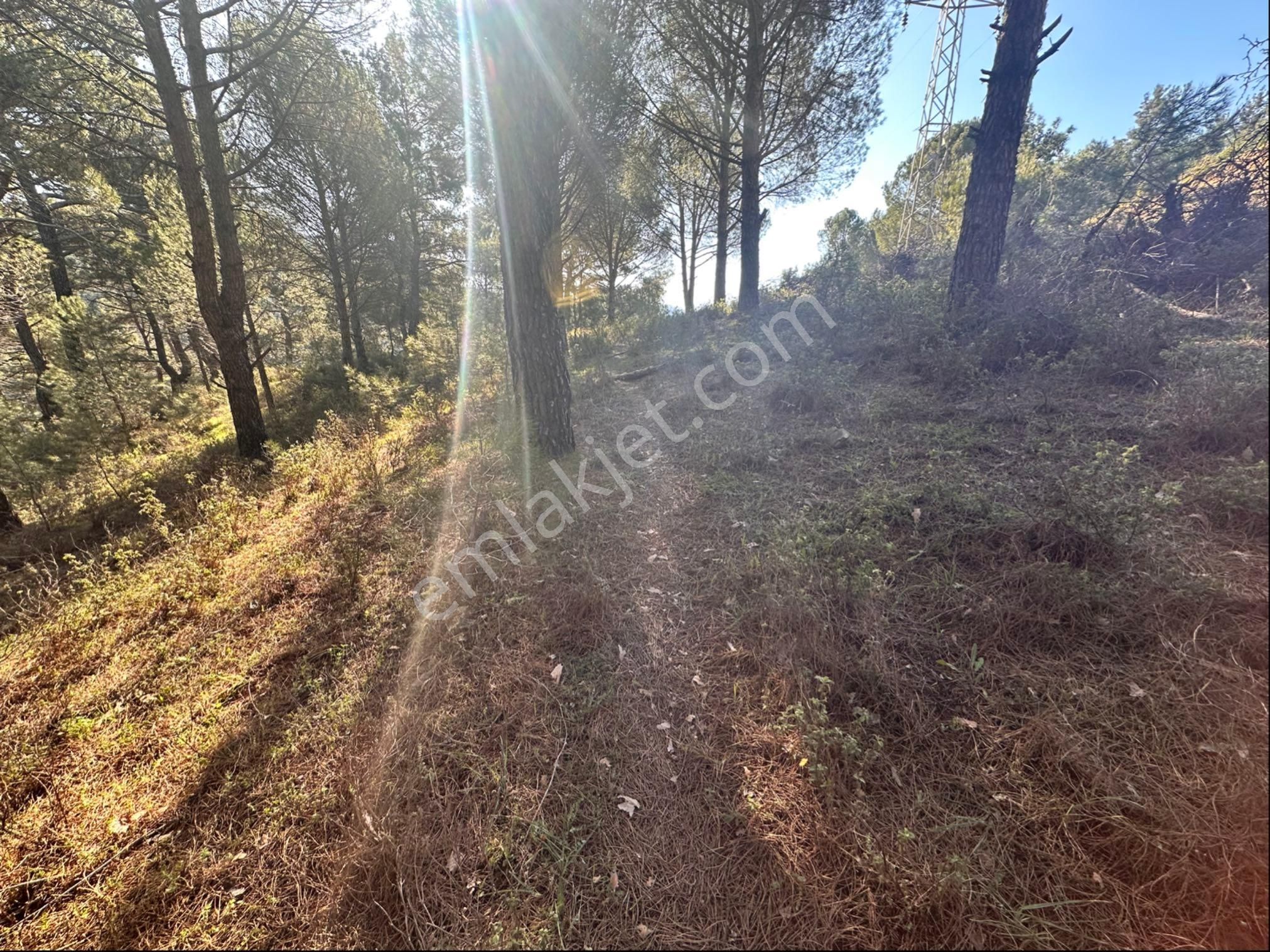 Bergamada Satılık Tarla - Görsel 14