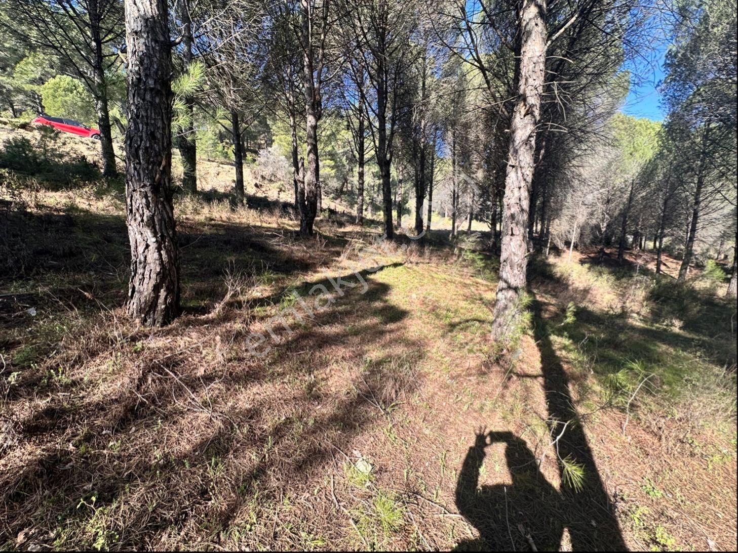 Bergamada Satılık Tarla - Görsel 7