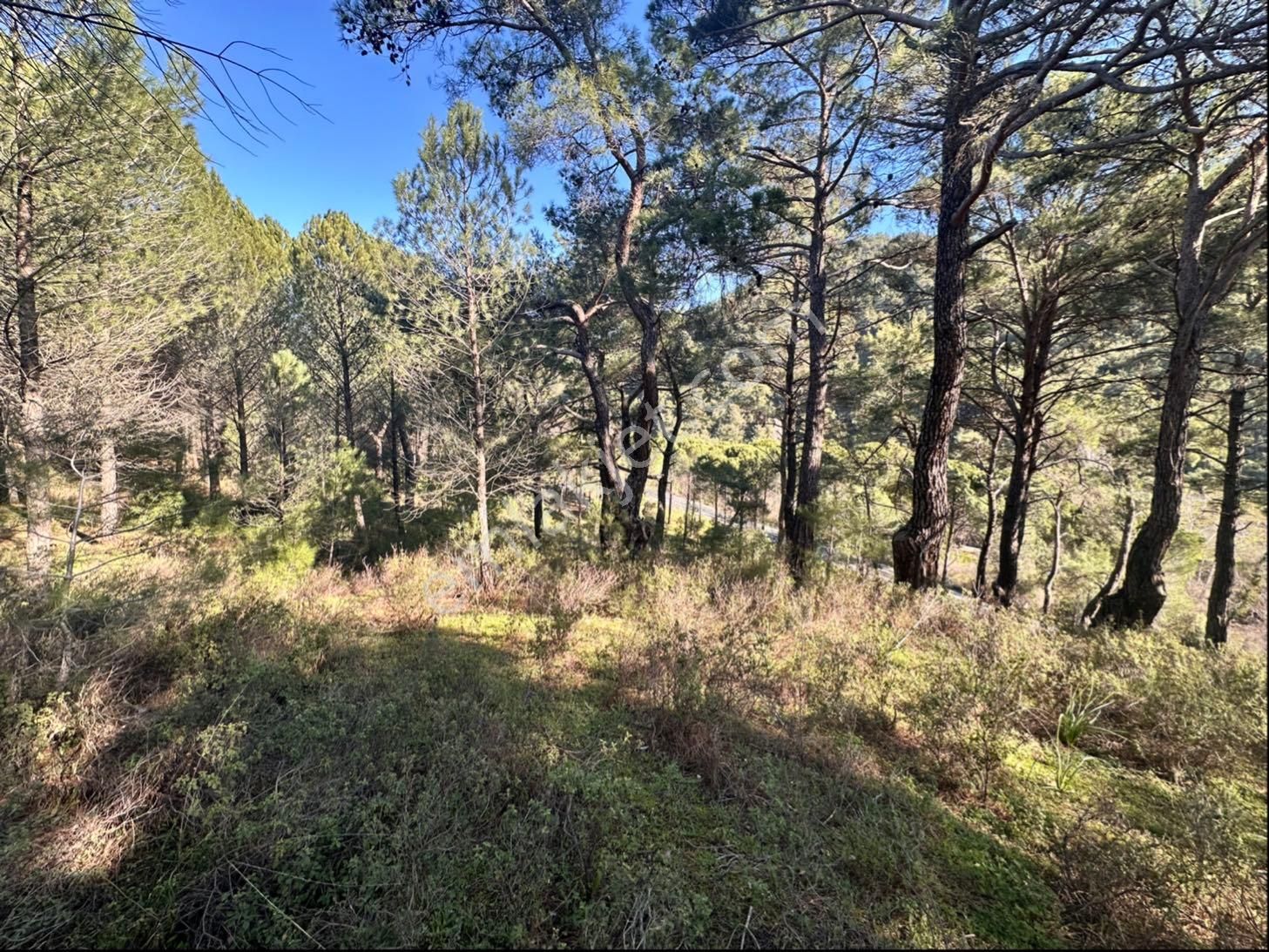 Bergamada Satılık Tarla - Görsel 5