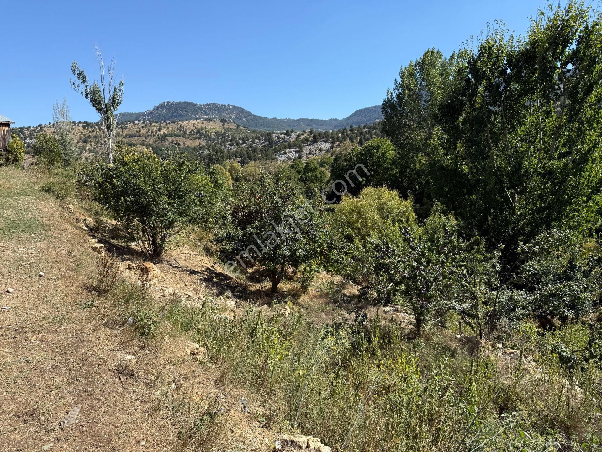 Bolkar Emlaktan Arslanköyde Satılık Köy İçi 450 M² Arsa - Görsel 26