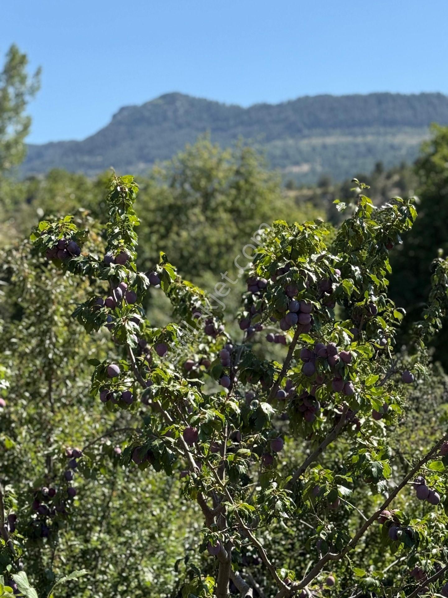 Bolkar Emlaktan Arslanköyde Satılık Köy İçi 450 M² Arsa - Görsel 15