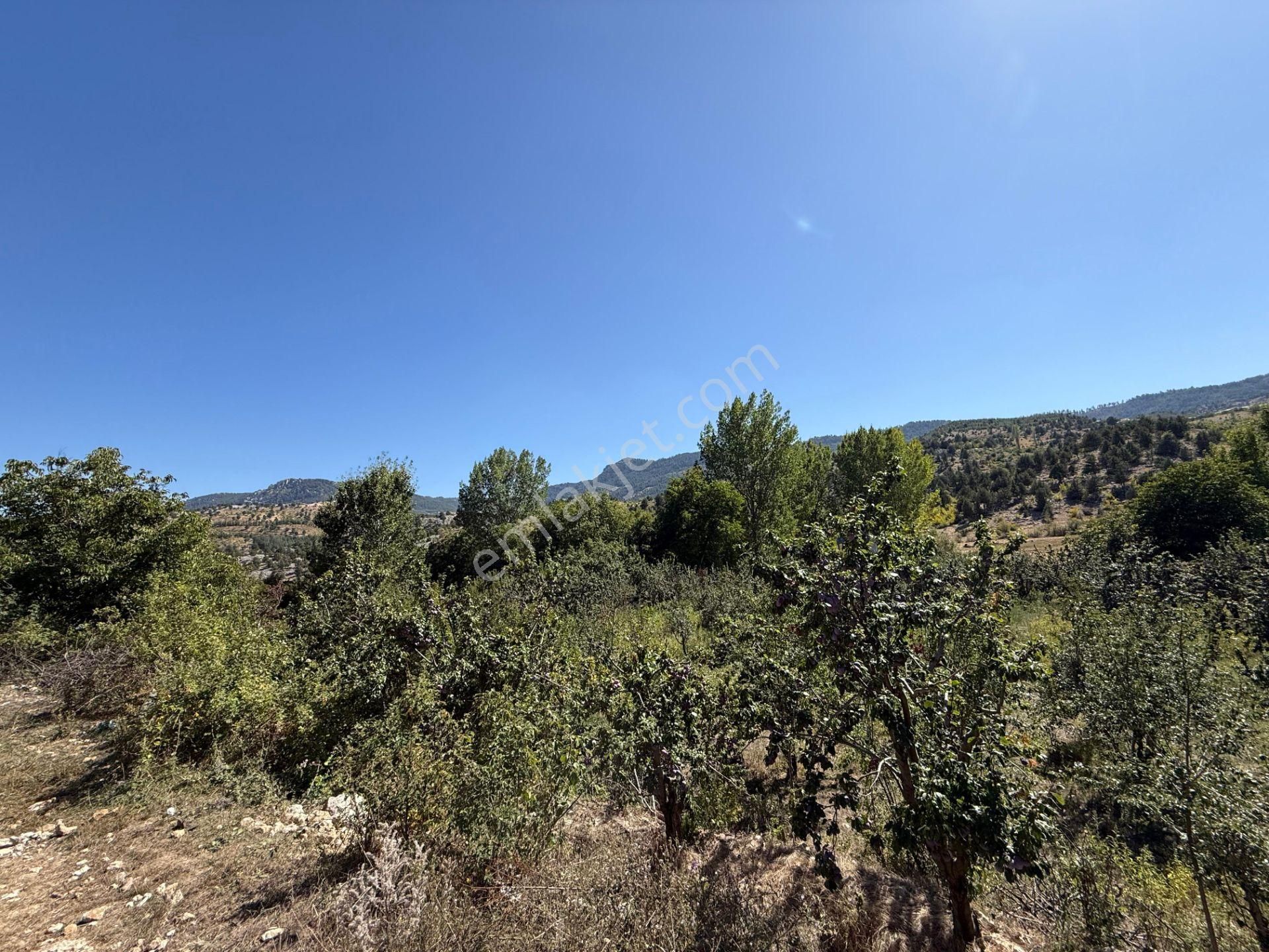 Bolkar Emlaktan Arslanköyde Satılık Köy İçi 450 M² Arsa - Görsel 18