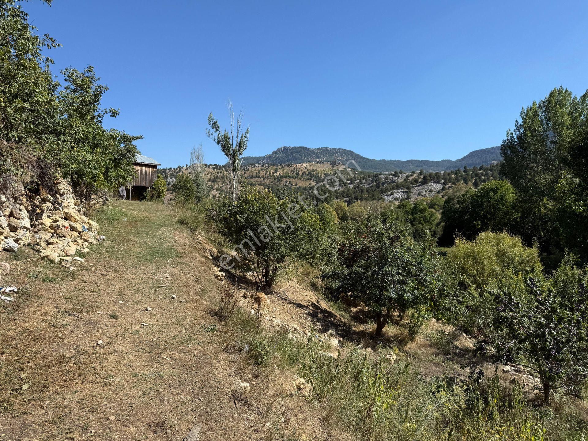 Bolkar Emlaktan Arslanköyde Satılık Köy İçi 450 M² Arsa - Görsel 25