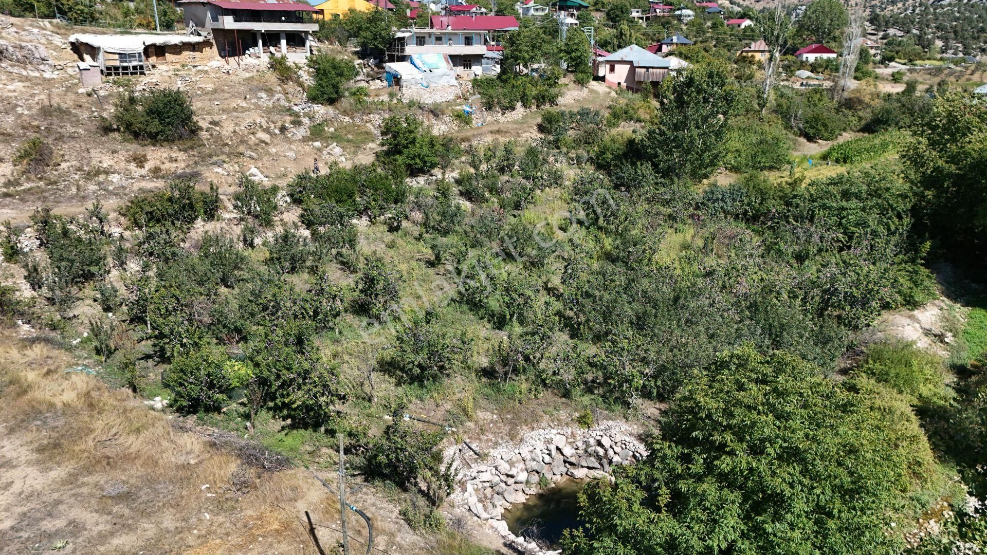 Bolkar Emlaktan Arslanköyde Satılık Köy İçi 450 M² Arsa - Görsel 5