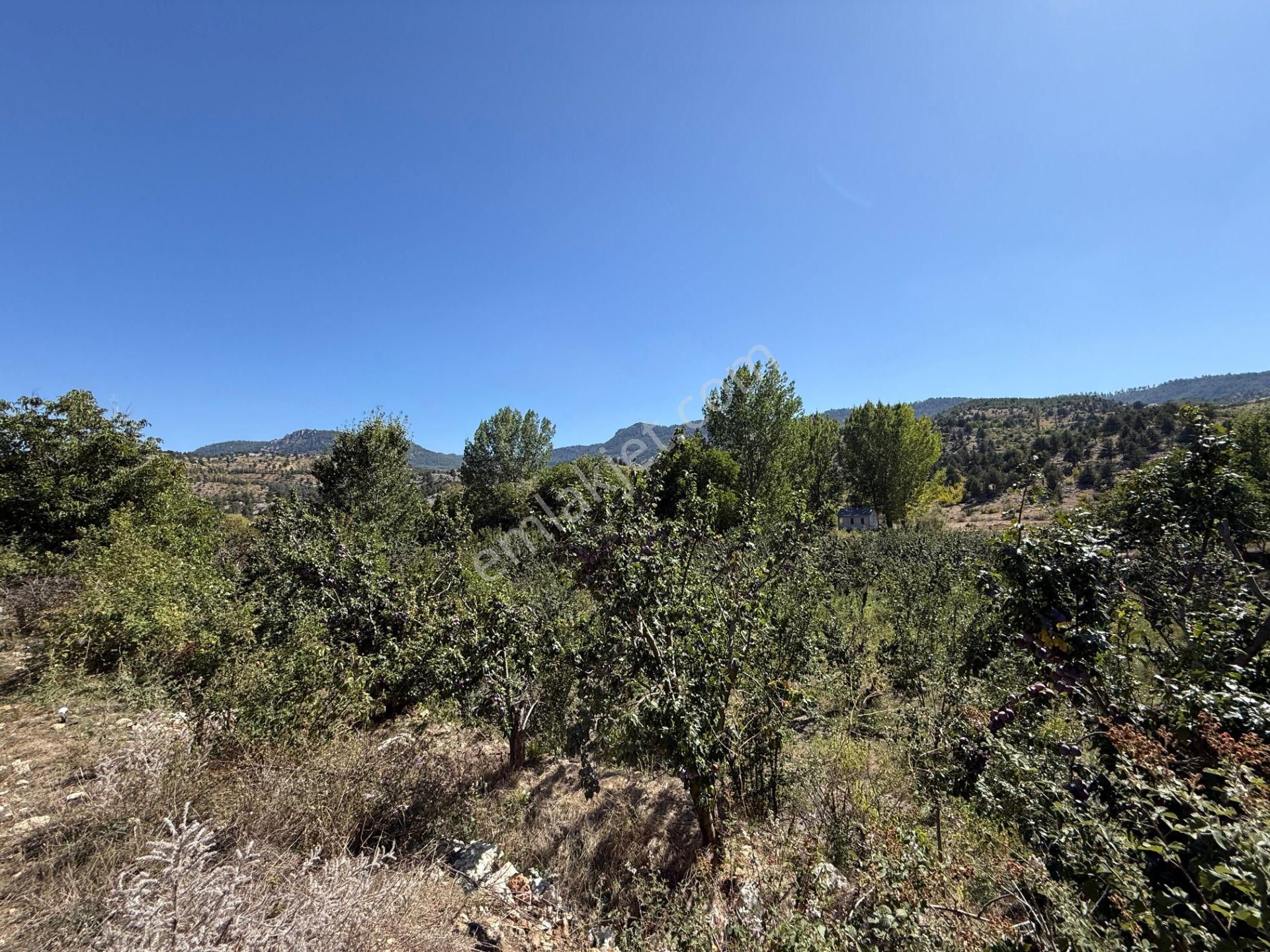 Bolkar Emlaktan Arslanköyde Satılık Köy İçi 450 M² Arsa - Görsel 14