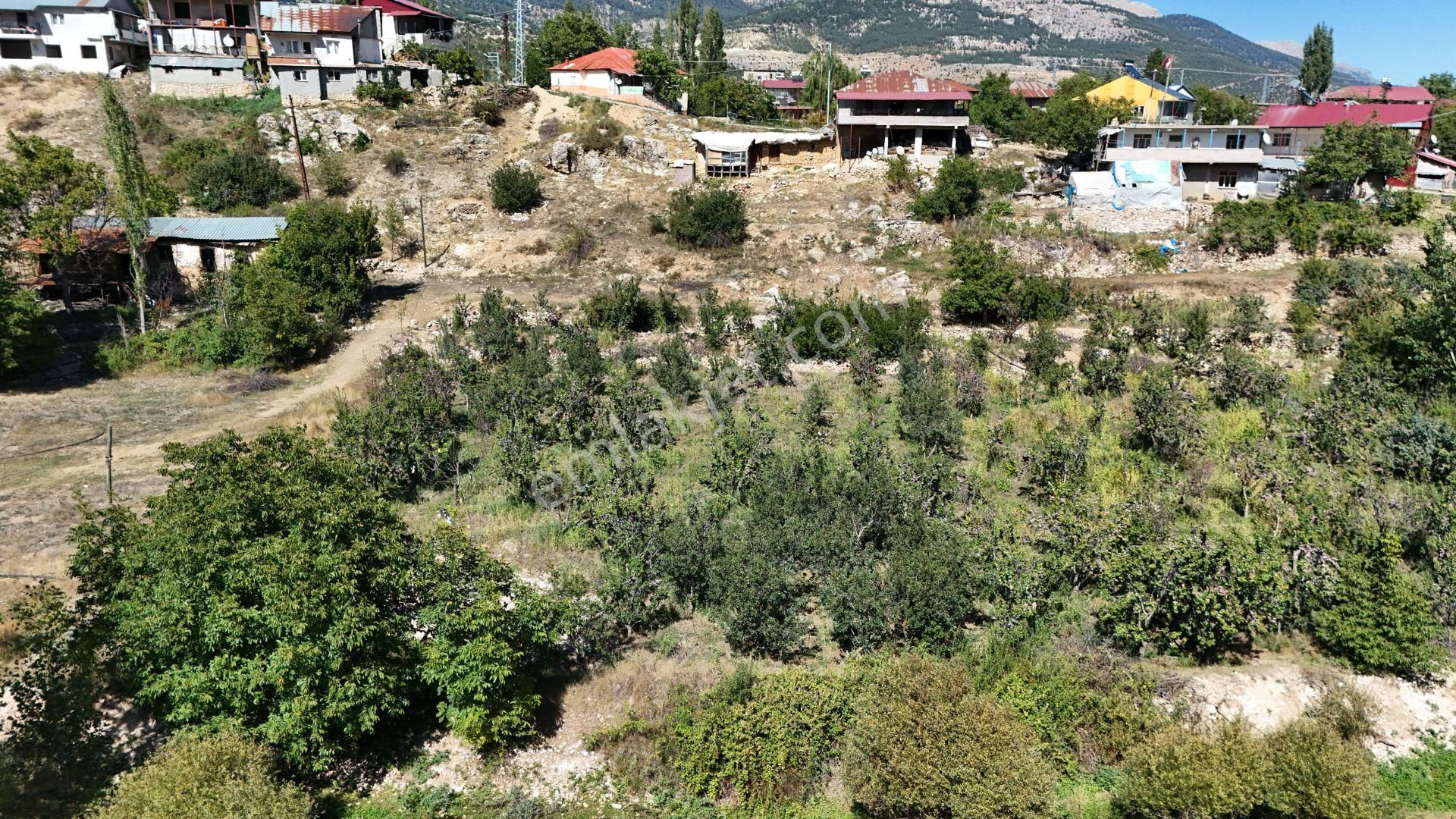 Bolkar Emlaktan Arslanköyde Satılık Köy İçi 450 M² Arsa - Görsel 2