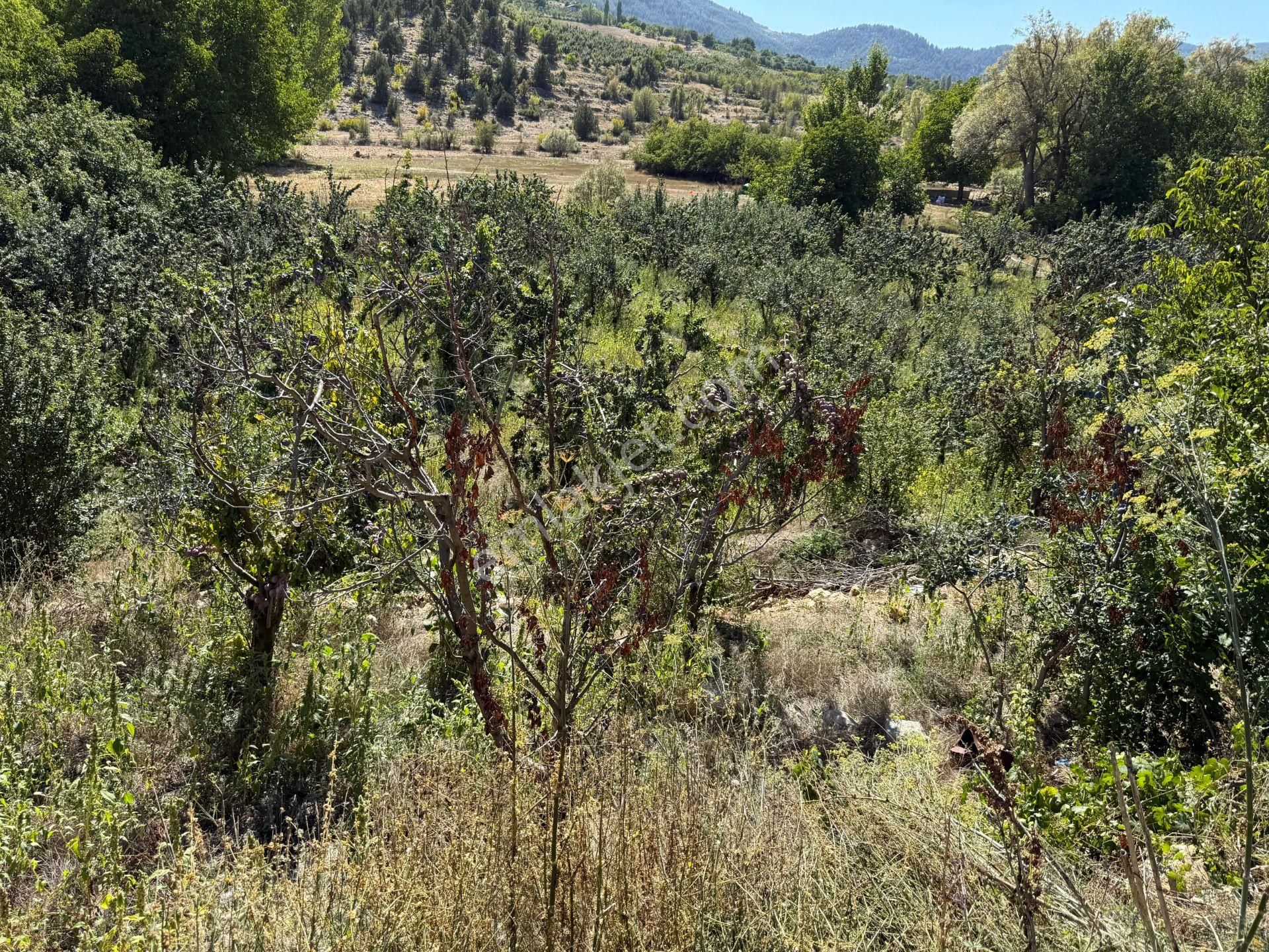 Bolkar Emlaktan Arslanköyde Satılık Köy İçi 450 M² Arsa - Görsel 23