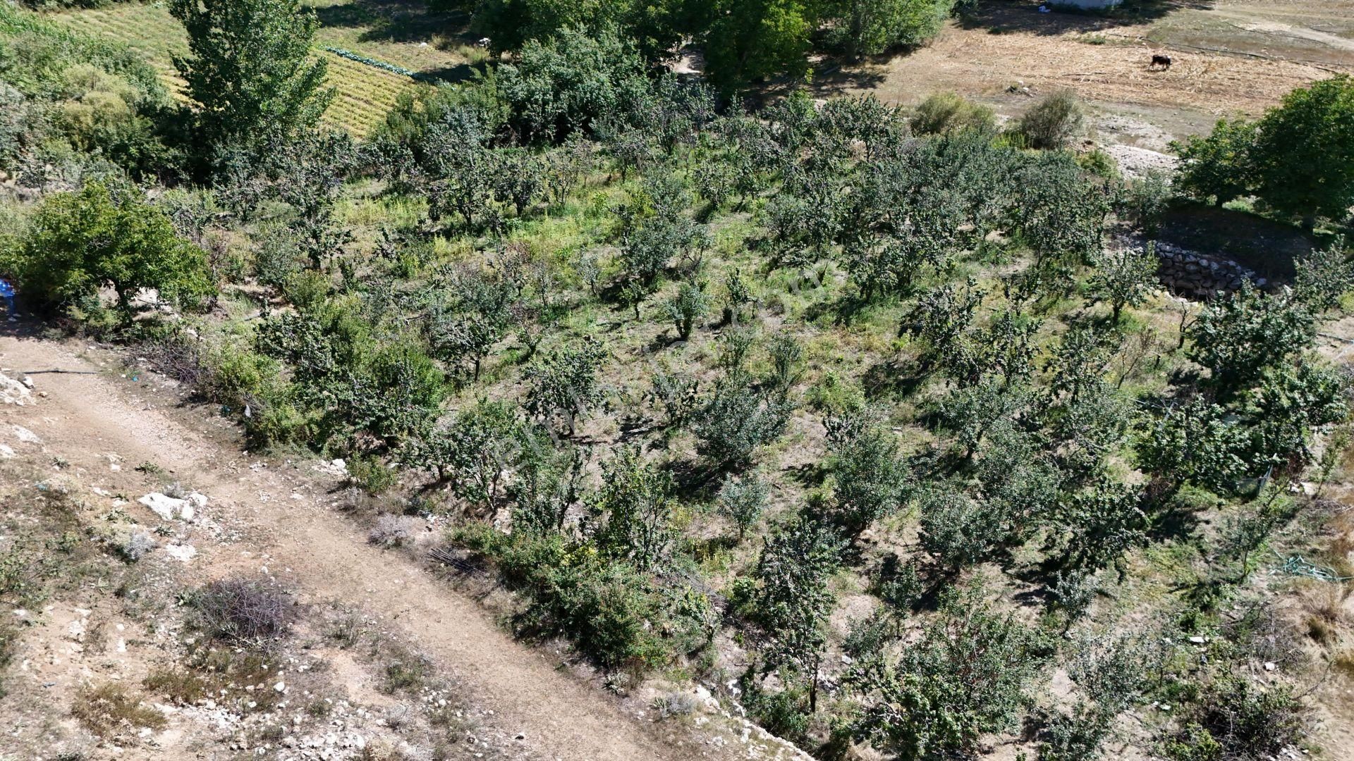 Bolkar'dan Mersin Toroslar Arslanköyde Kaçırılmayacak Fırsat - Görsel 10