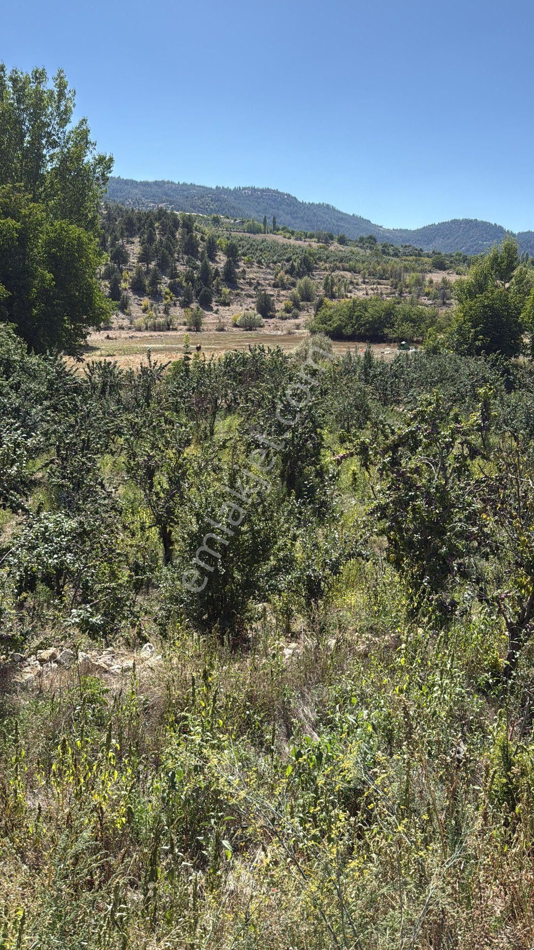 Bolkar'dan Mersin Toroslar Arslanköyde Kaçırılmayacak Fırsat - Görsel 20