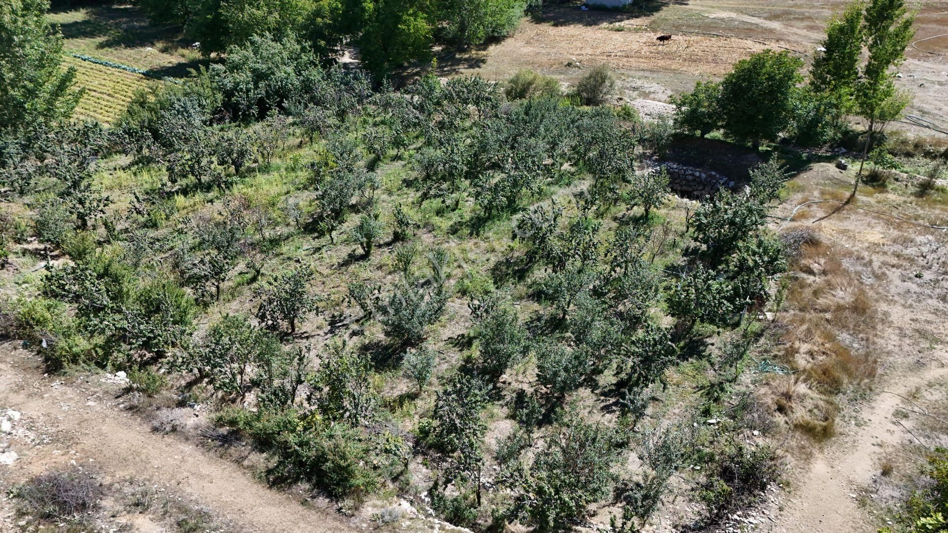 Bolkar'dan Mersin Toroslar Arslanköyde Kaçırılmayacak Fırsat - Görsel 7