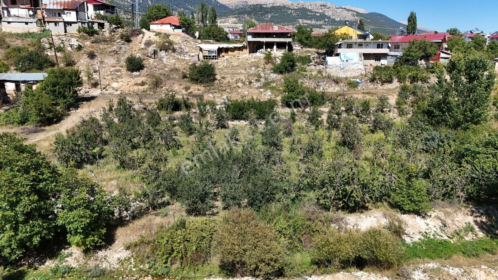 Bolkar'dan Mersin Toroslar Arslanköyde Kaçırılmayacak Fırsat - Görsel 16