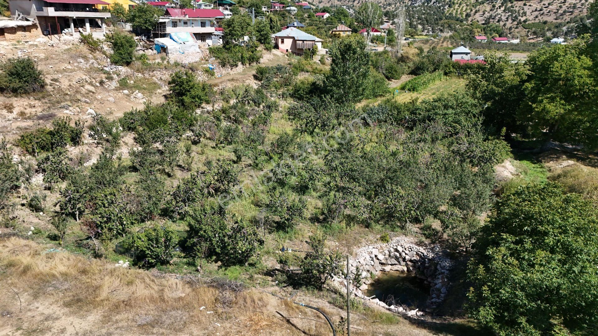 Bolkar'dan Mersin Toroslar Arslanköyde Kaçırılmayacak Fırsat - Görsel 5