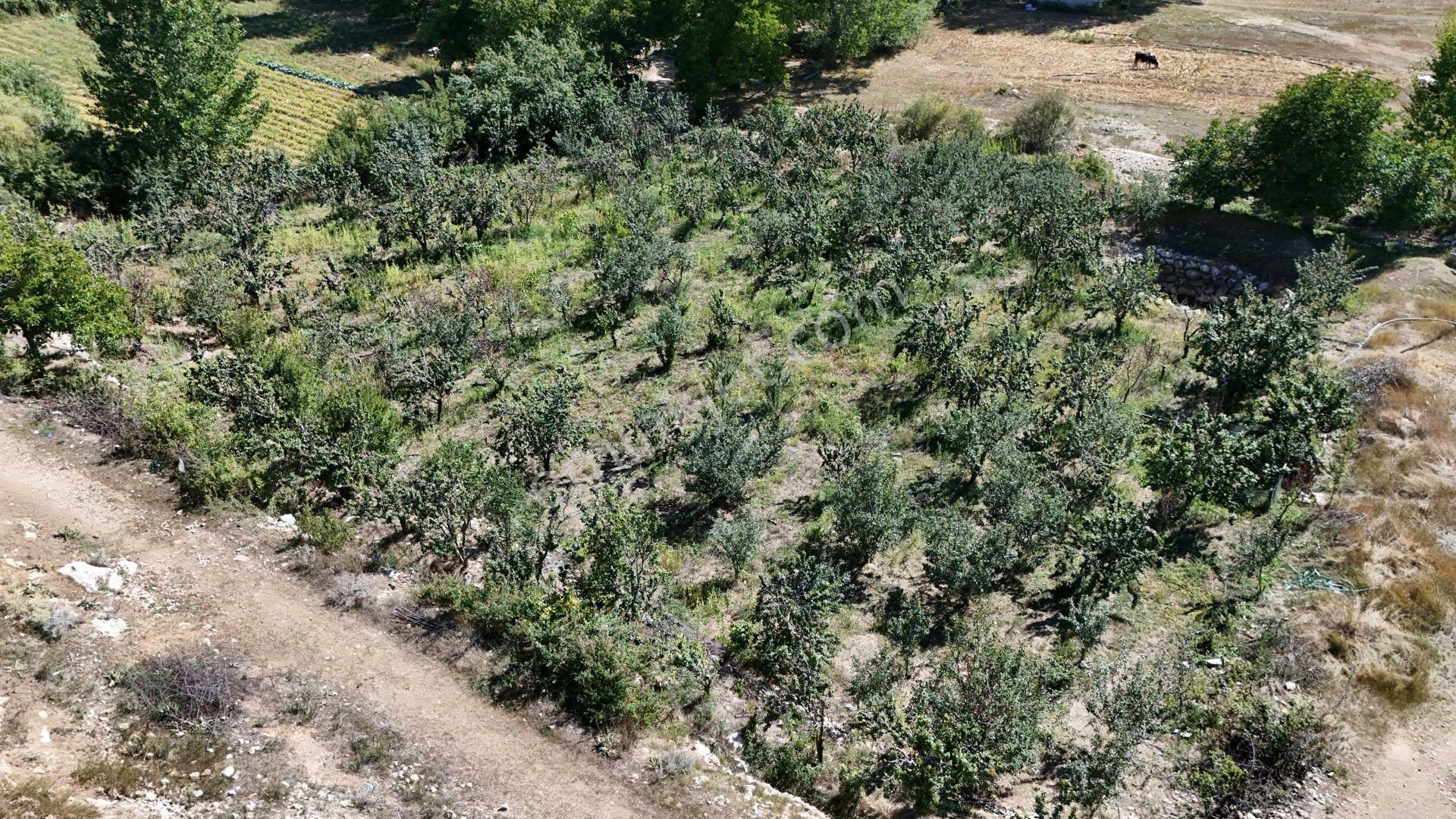 Bolkar'dan Mersin Toroslar Arslanköyde Kaçırılmayacak Fırsat - Görsel 6