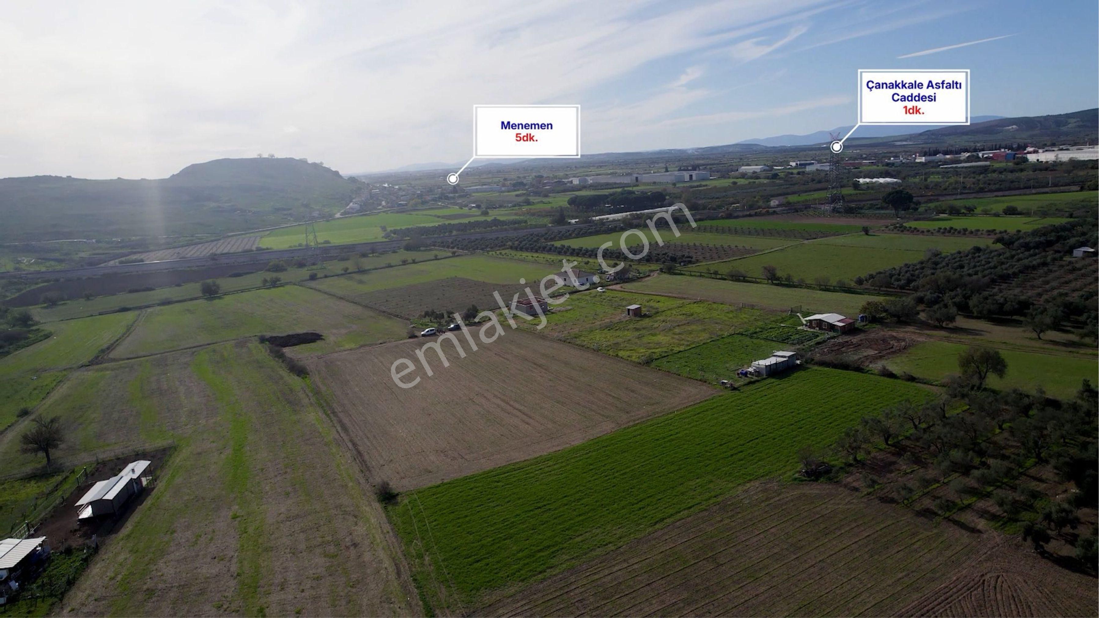 Türkelli Köyün İçinde Satılık Tarla - Görsel 26