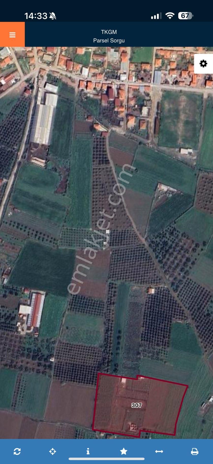 Türkelli Köyün İçinde Satılık Tarla - Görsel 33