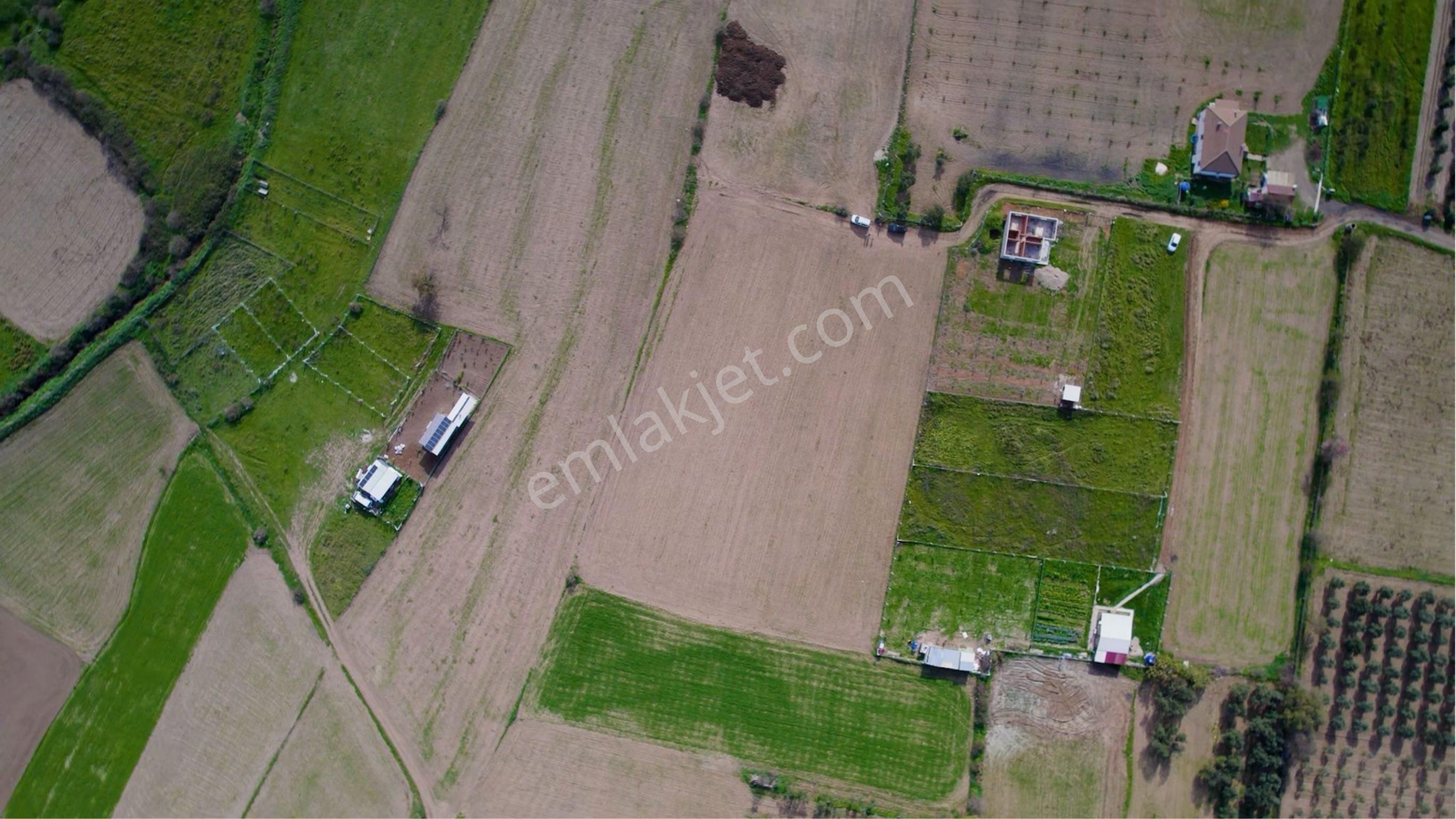 Türkelli Köyün İçinde Satılık Tarla - Görsel 14