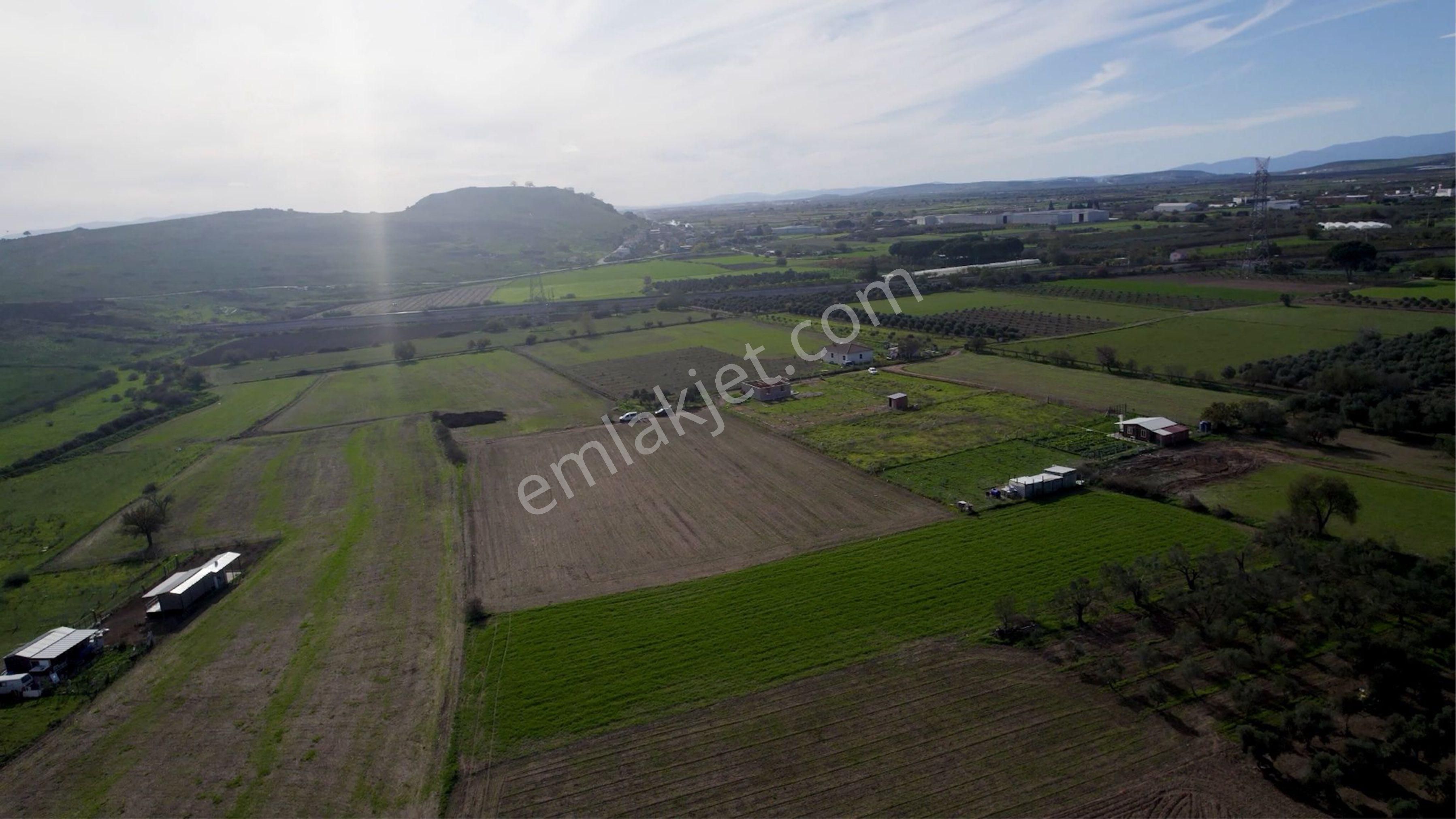 Türkelli Köyün İçinde Satılık Tarla - Görsel 24