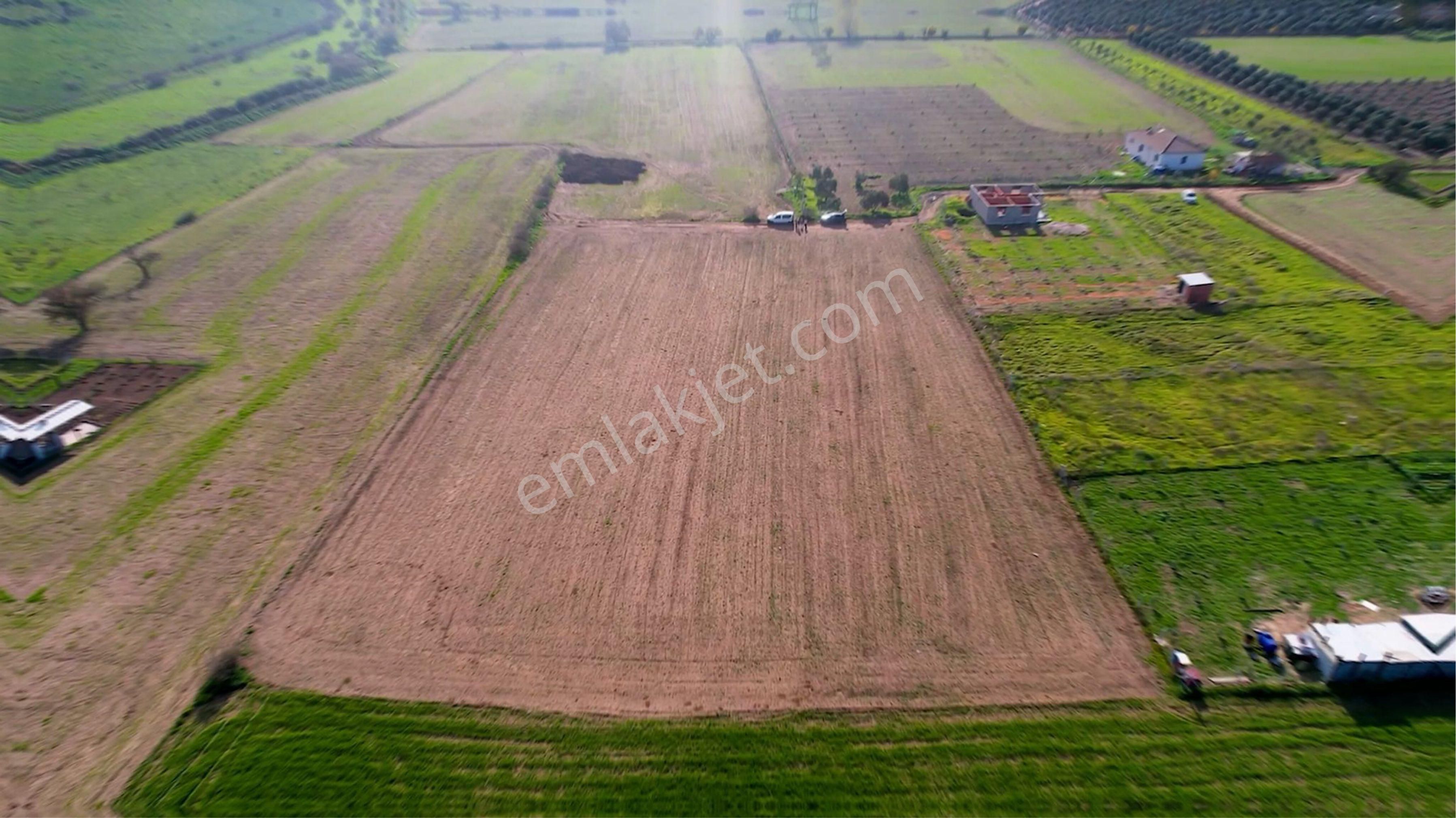 Türkelli Köyün İçinde Satılık Tarla - Görsel 23