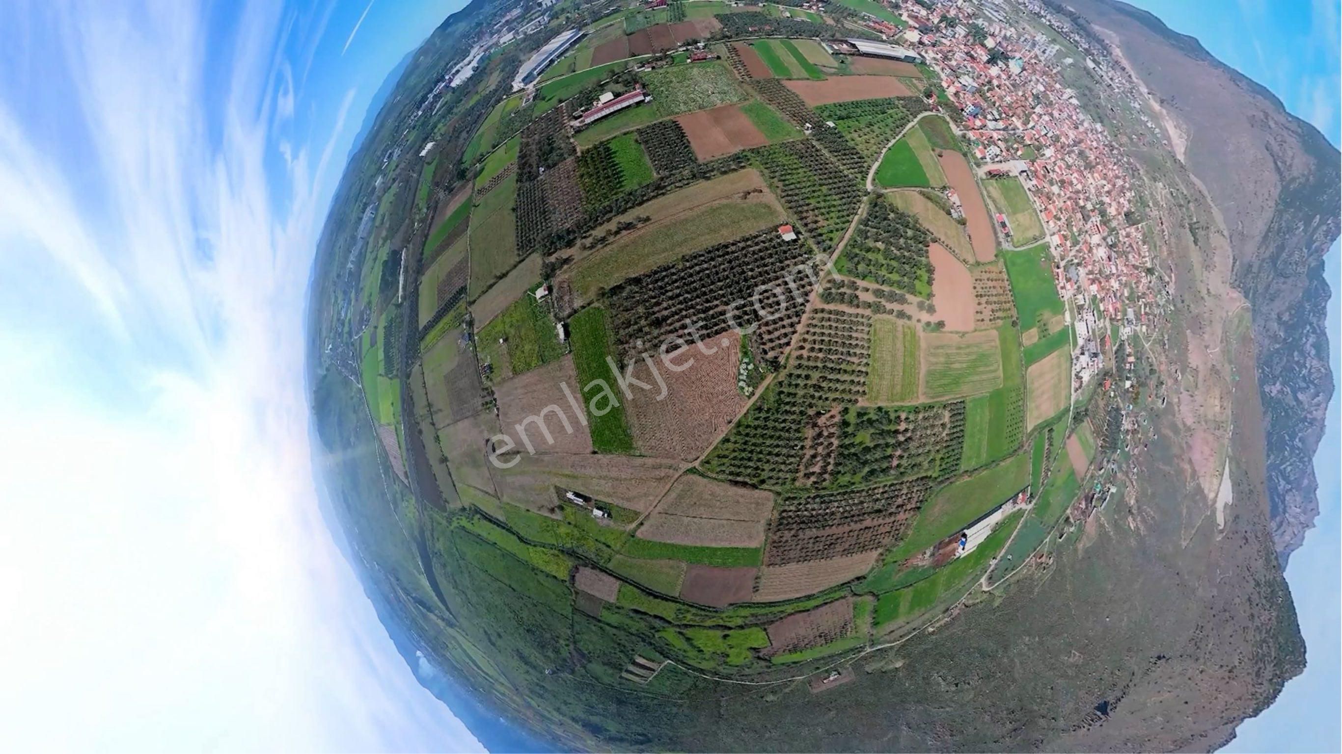 Türkelli Köyün İçinde Satılık Tarla - Görsel 19