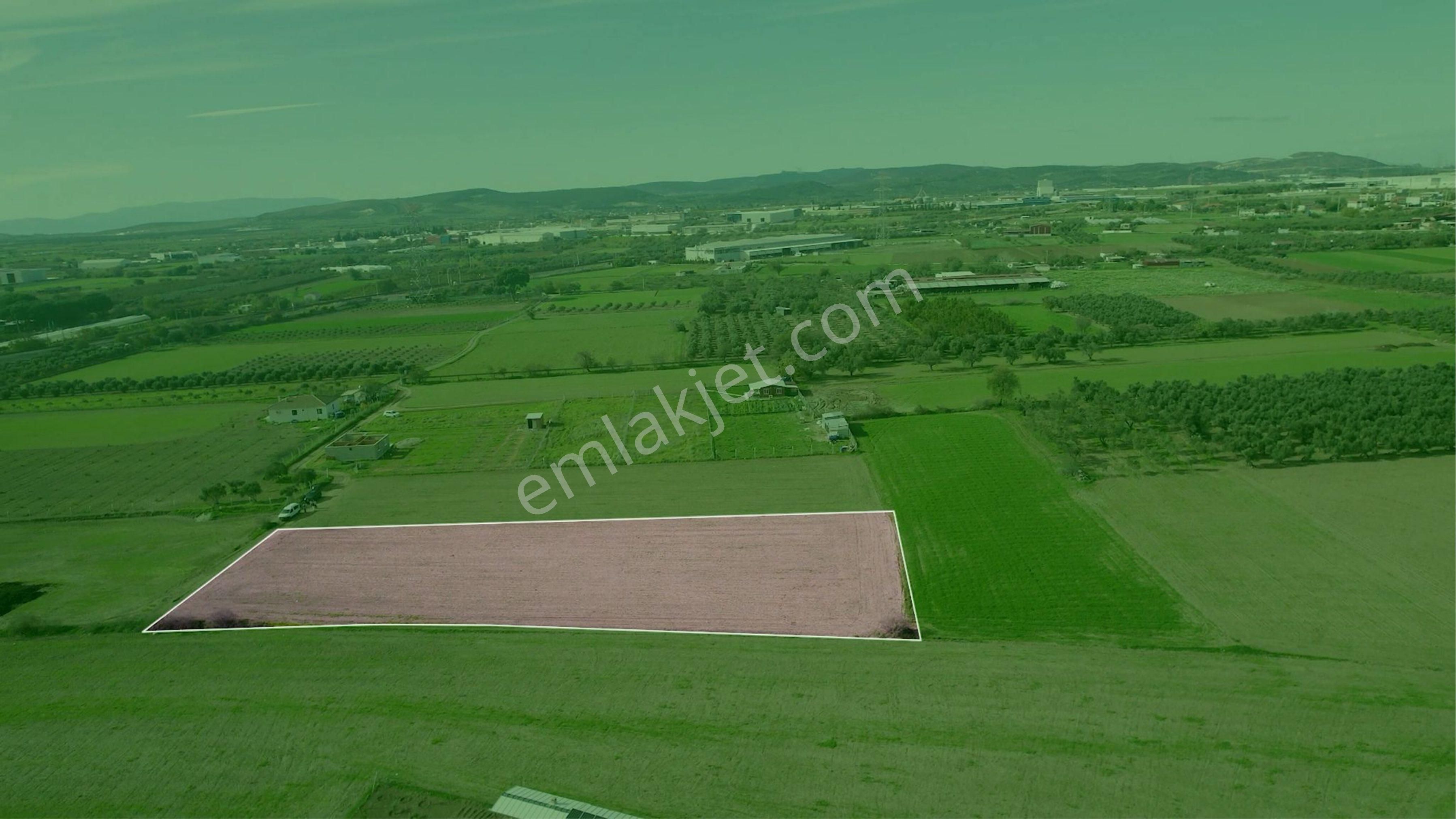 Türkelli Köyün İçinde Satılık Tarla - Görsel 27