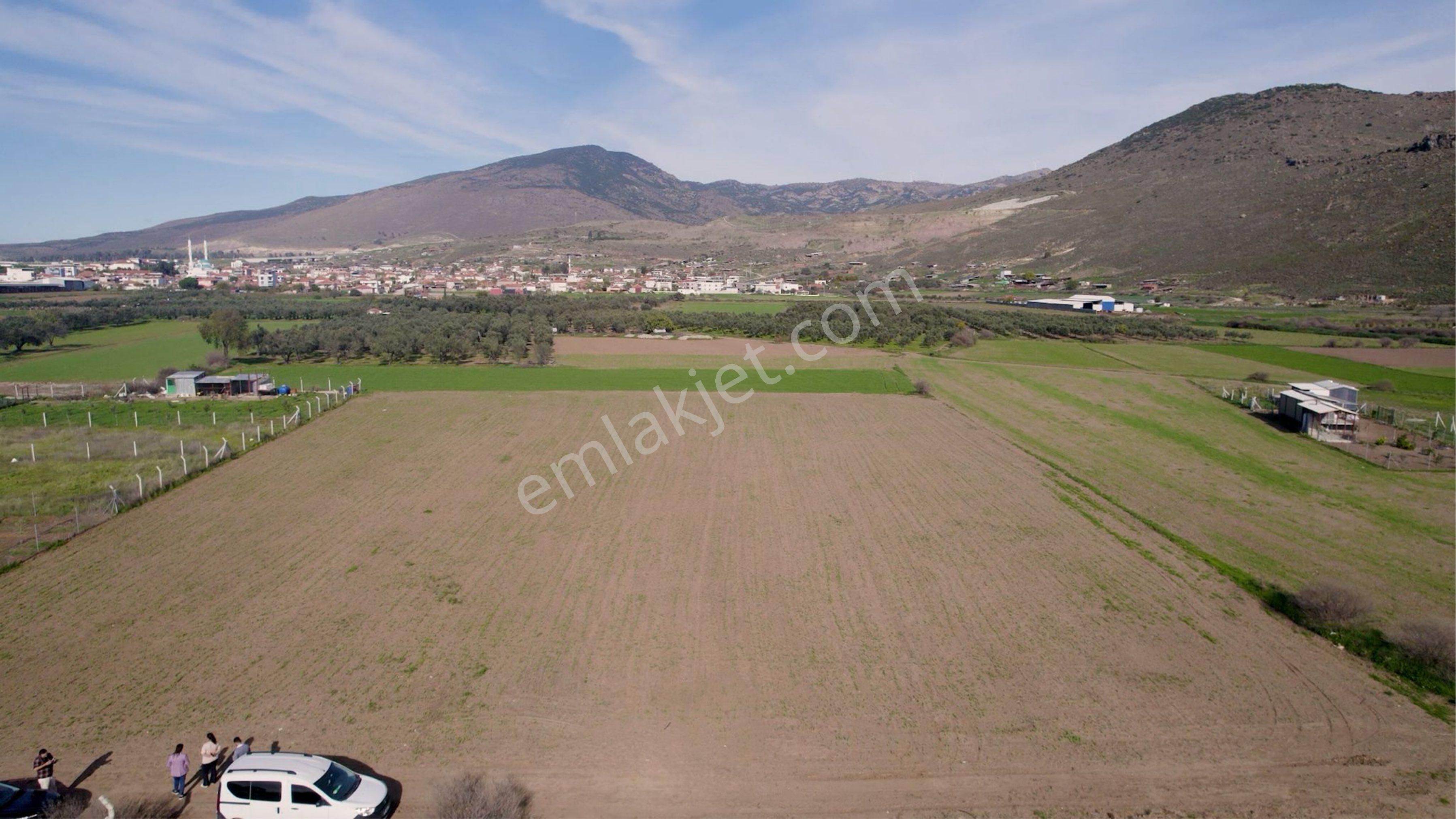 Türkelli Köyün İçinde Satılık Tarla - Görsel 22