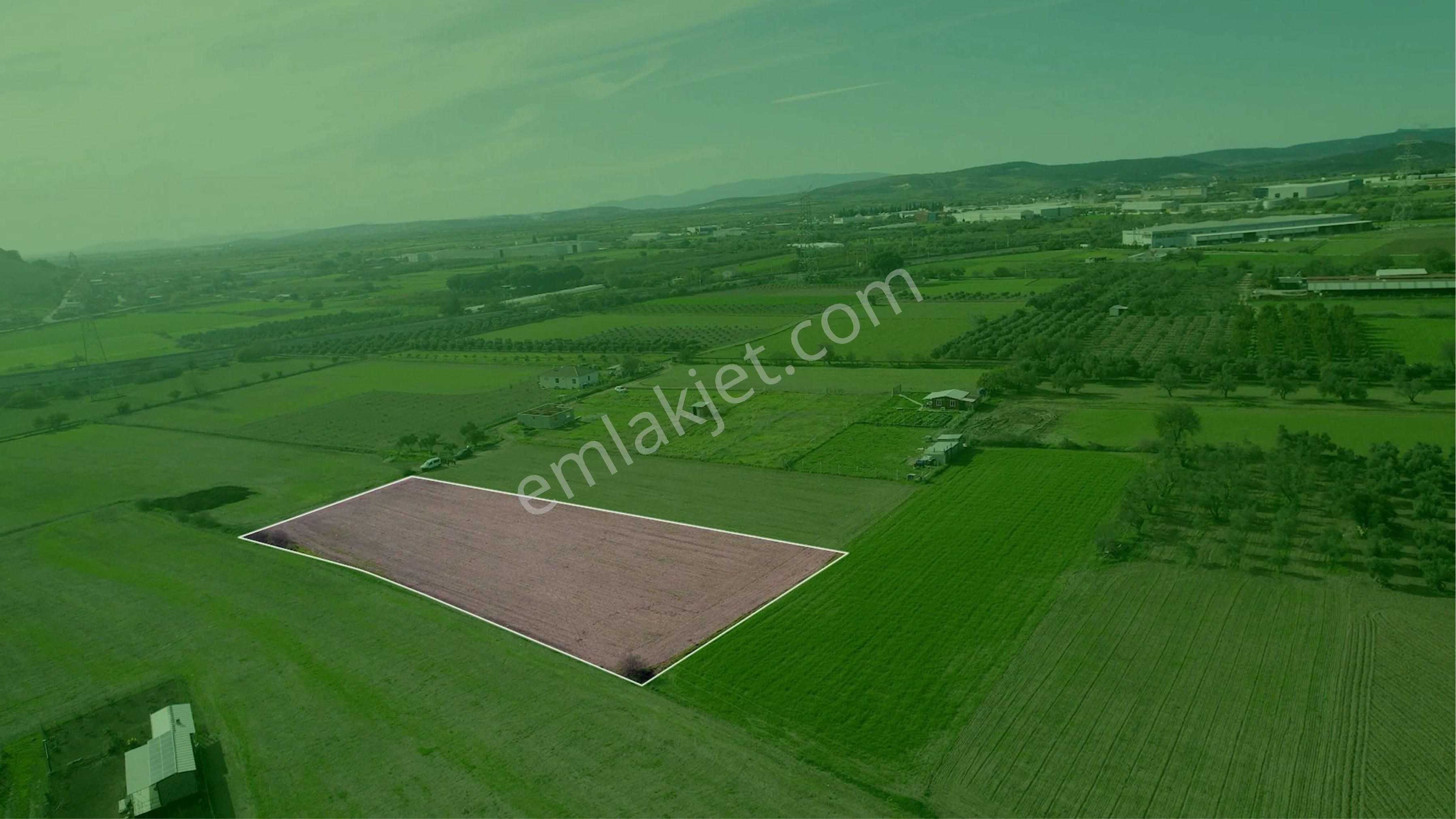 Türkelli Köyün İçinde Satılık Tarla - Görsel 4