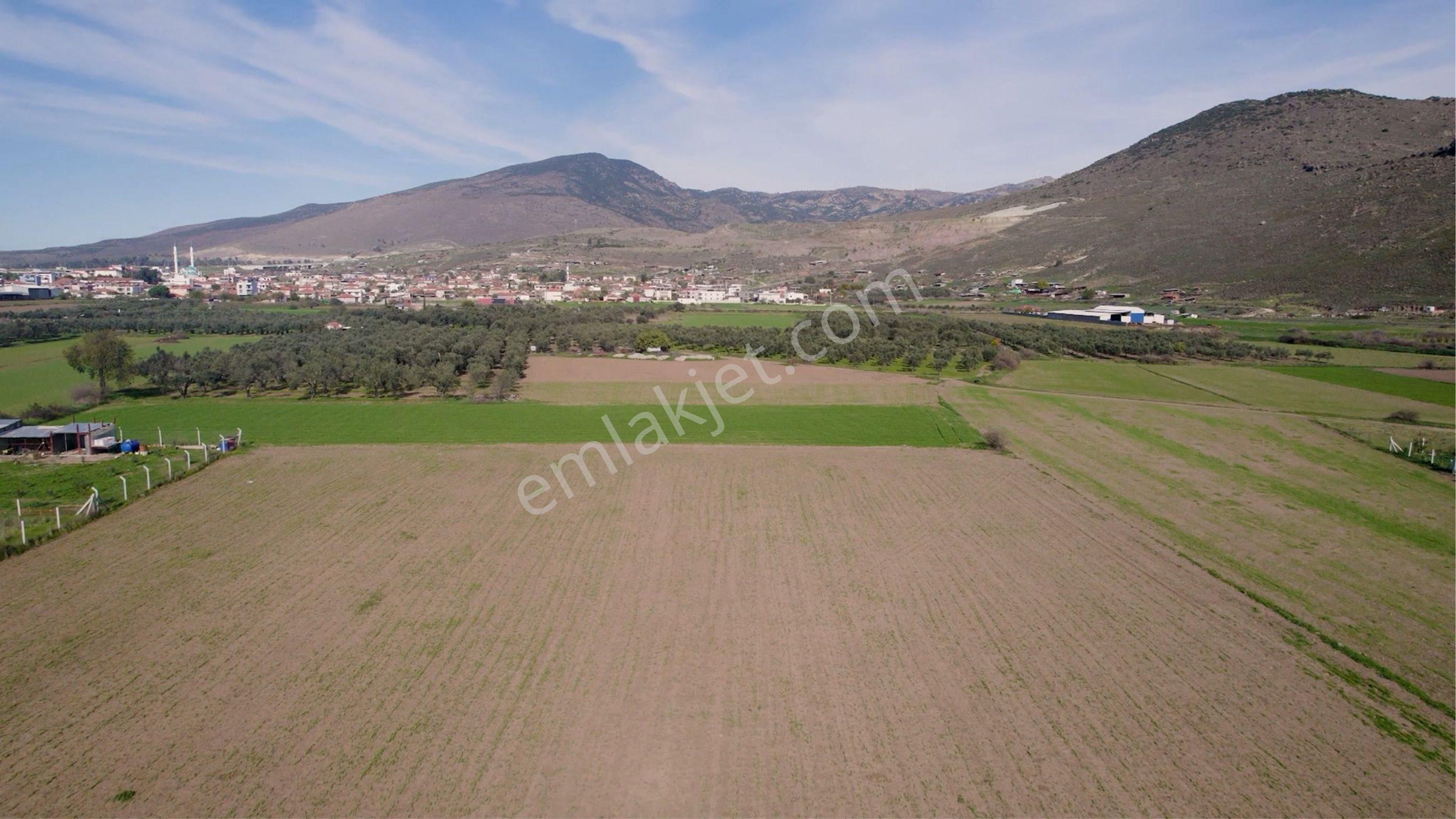Türkelli Köyün İçinde Satılık Tarla - Görsel 13