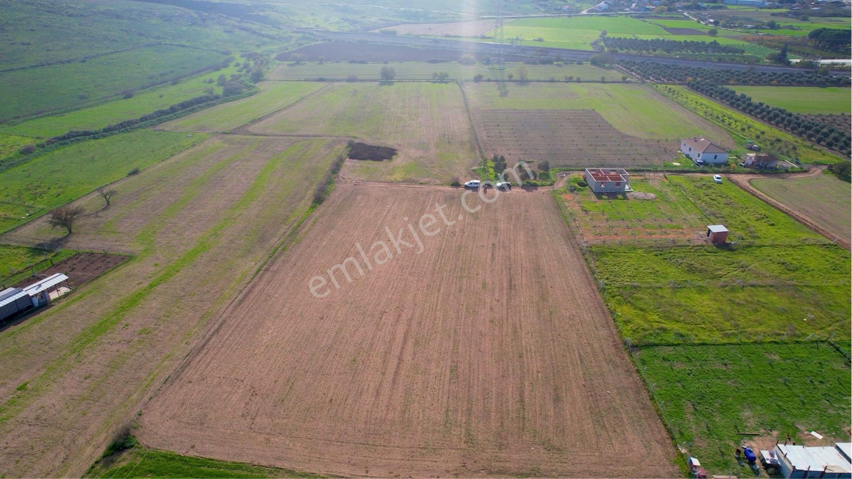 Türkelli Köyün İçinde Satılık Tarla - Görsel 10