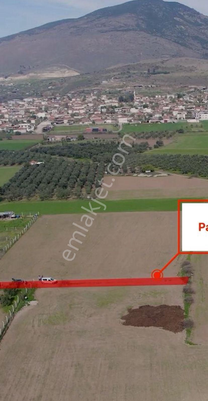 Türkelli Köyün İçinde Satılık Tarla - Görsel 7