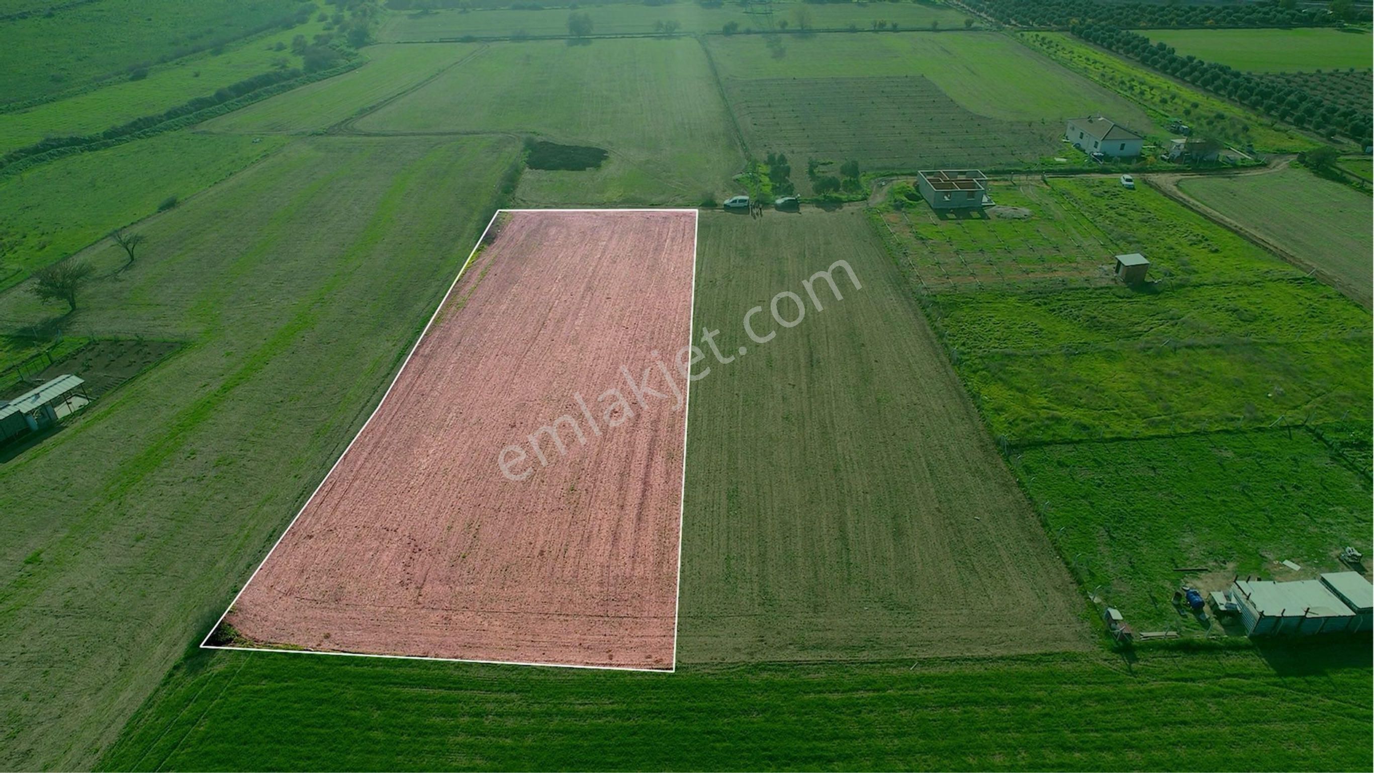 Türkelli Köyün İçinde Satılık Tarla - Görsel 16