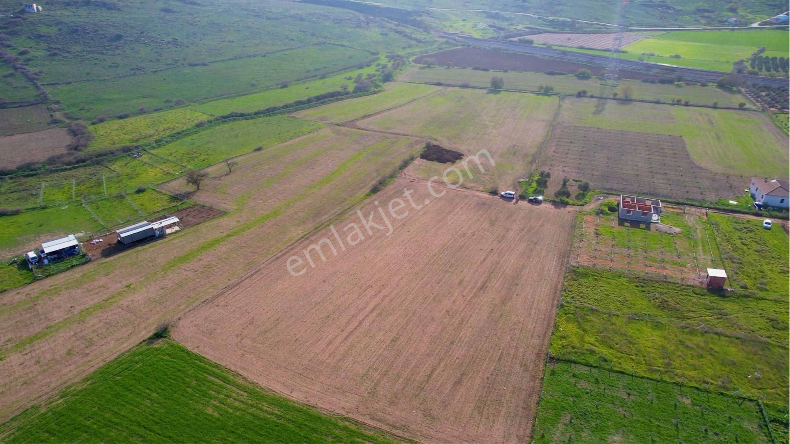 Türkelli Köyün İçinde Satılık Tarla - Görsel 21