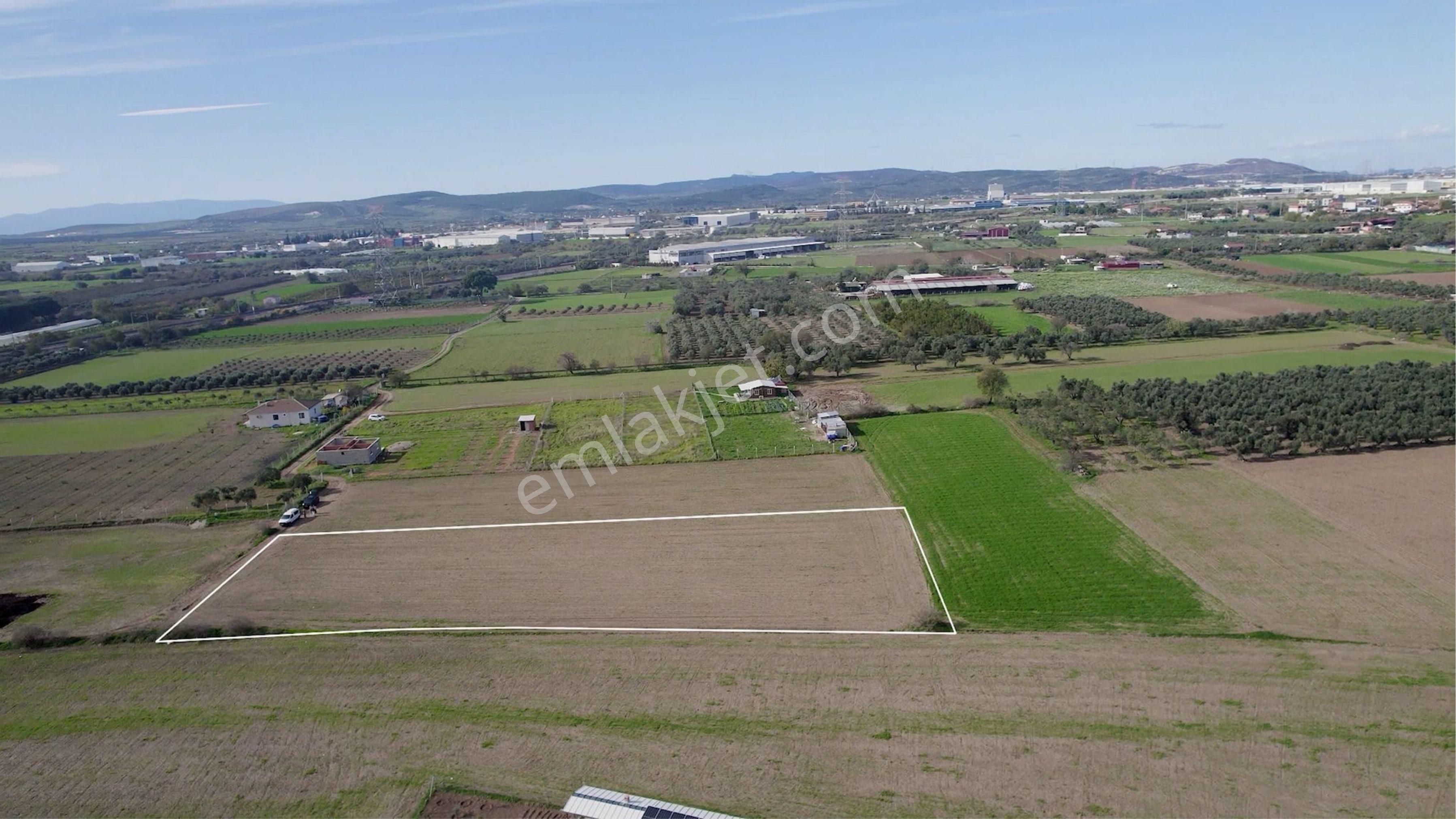 Türkelli Köyün İçinde Satılık Tarla - Görsel 5