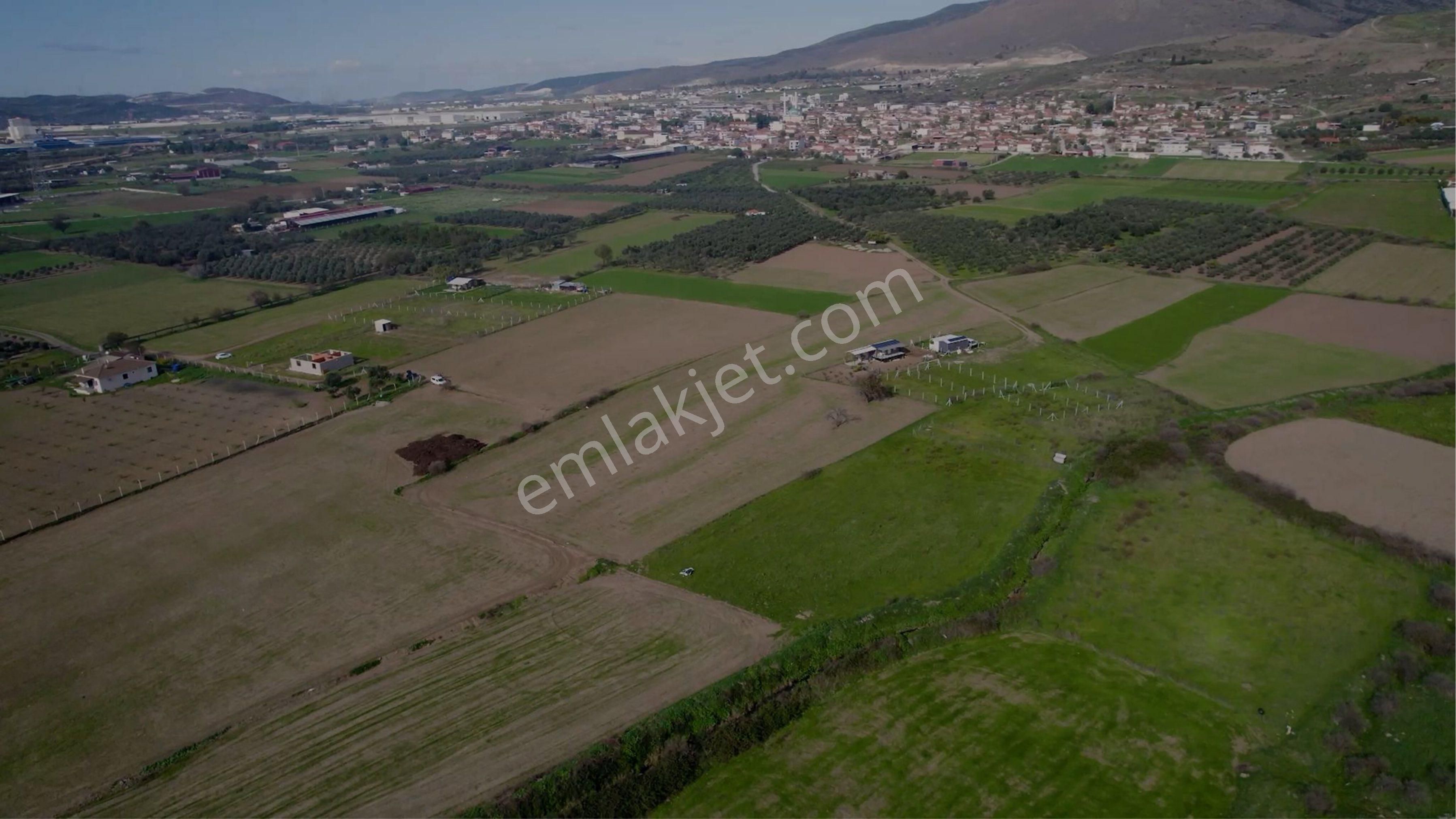 Türkelli Köyün İçinde Satılık Tarla - Görsel 25