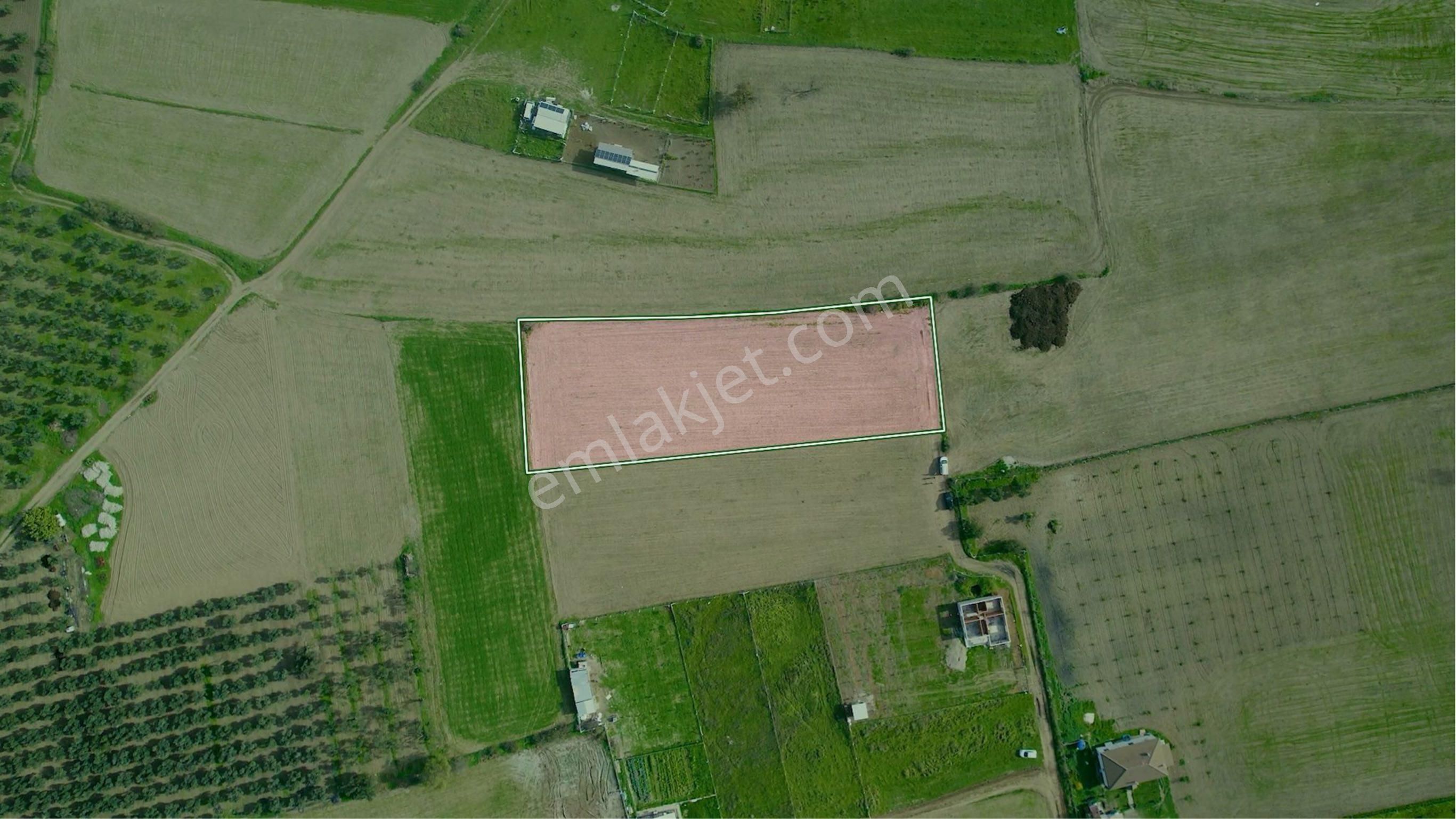 Türkelli Köyün İçinde Satılık Tarla - Görsel 15