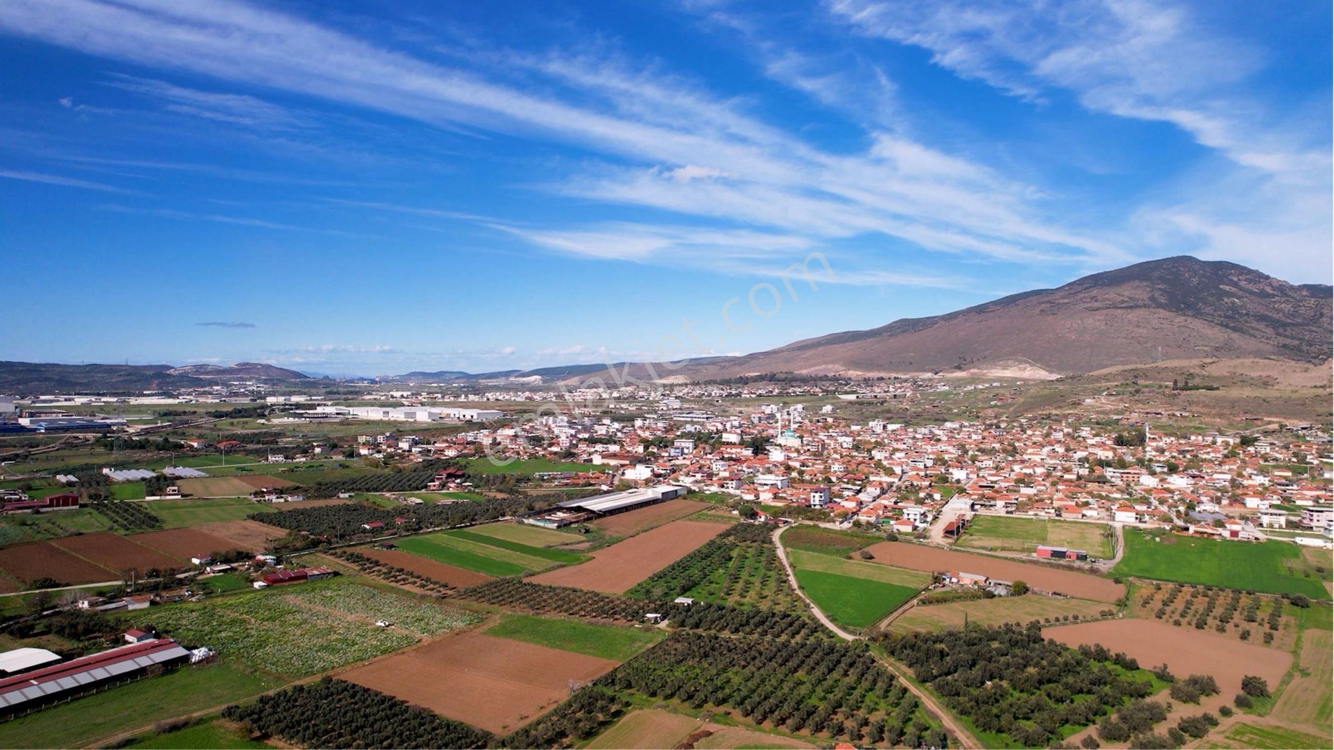 Türkelli Köyün İçinde Satılık Tarla - Görsel 3