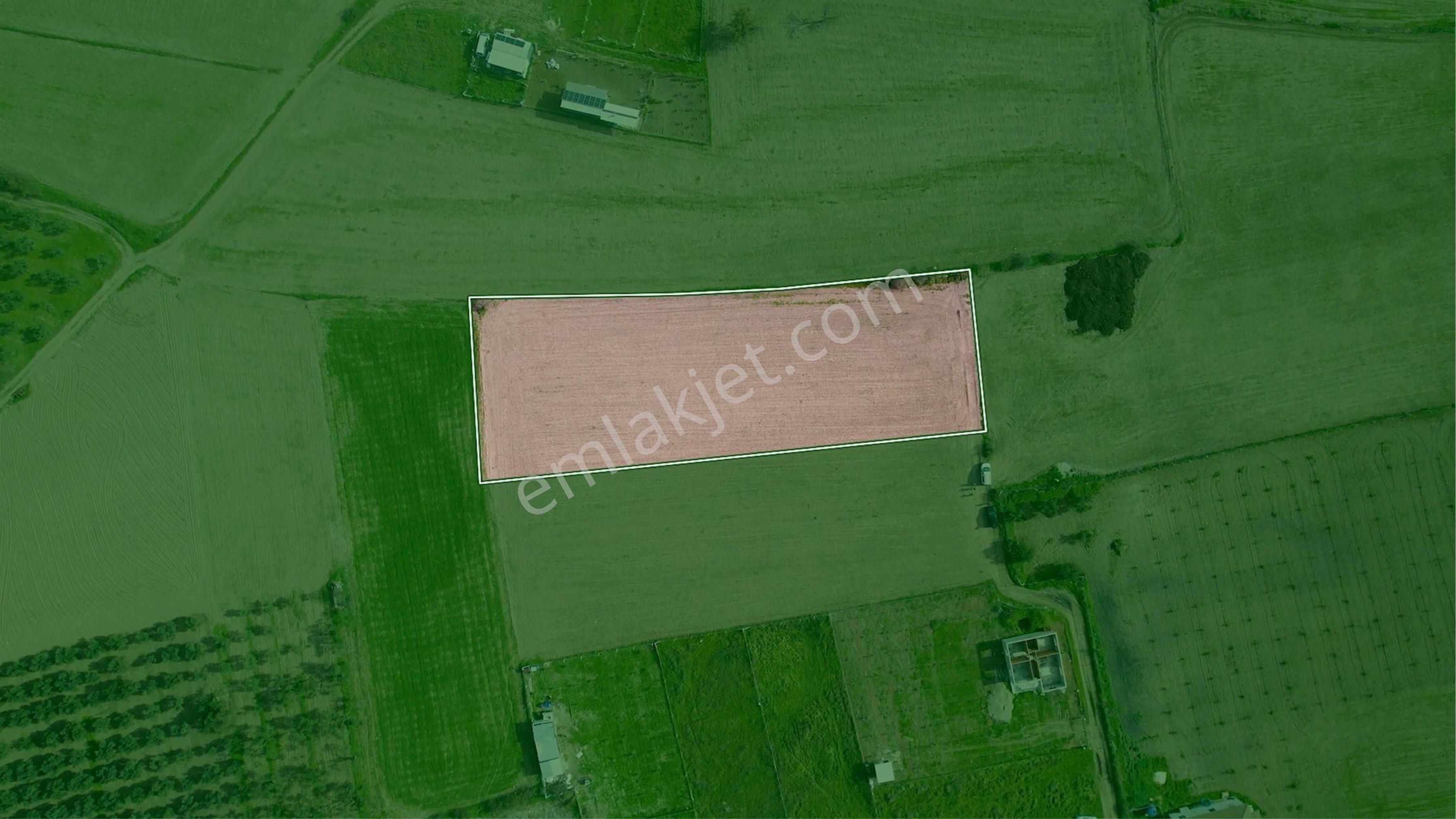 Türkelli Köyün İçinde Satılık Tarla - Görsel 20