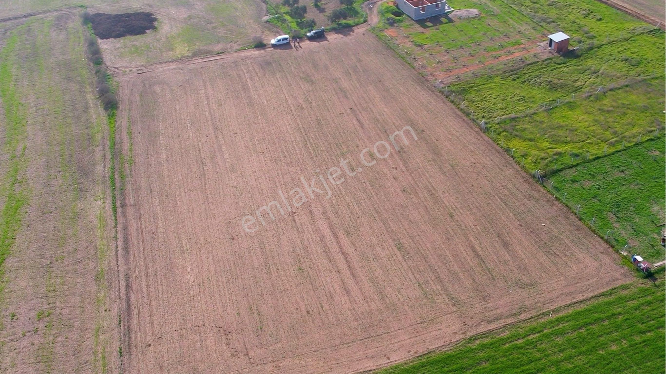 Türkelli Köyün İçinde Satılık Tarla - Görsel 17