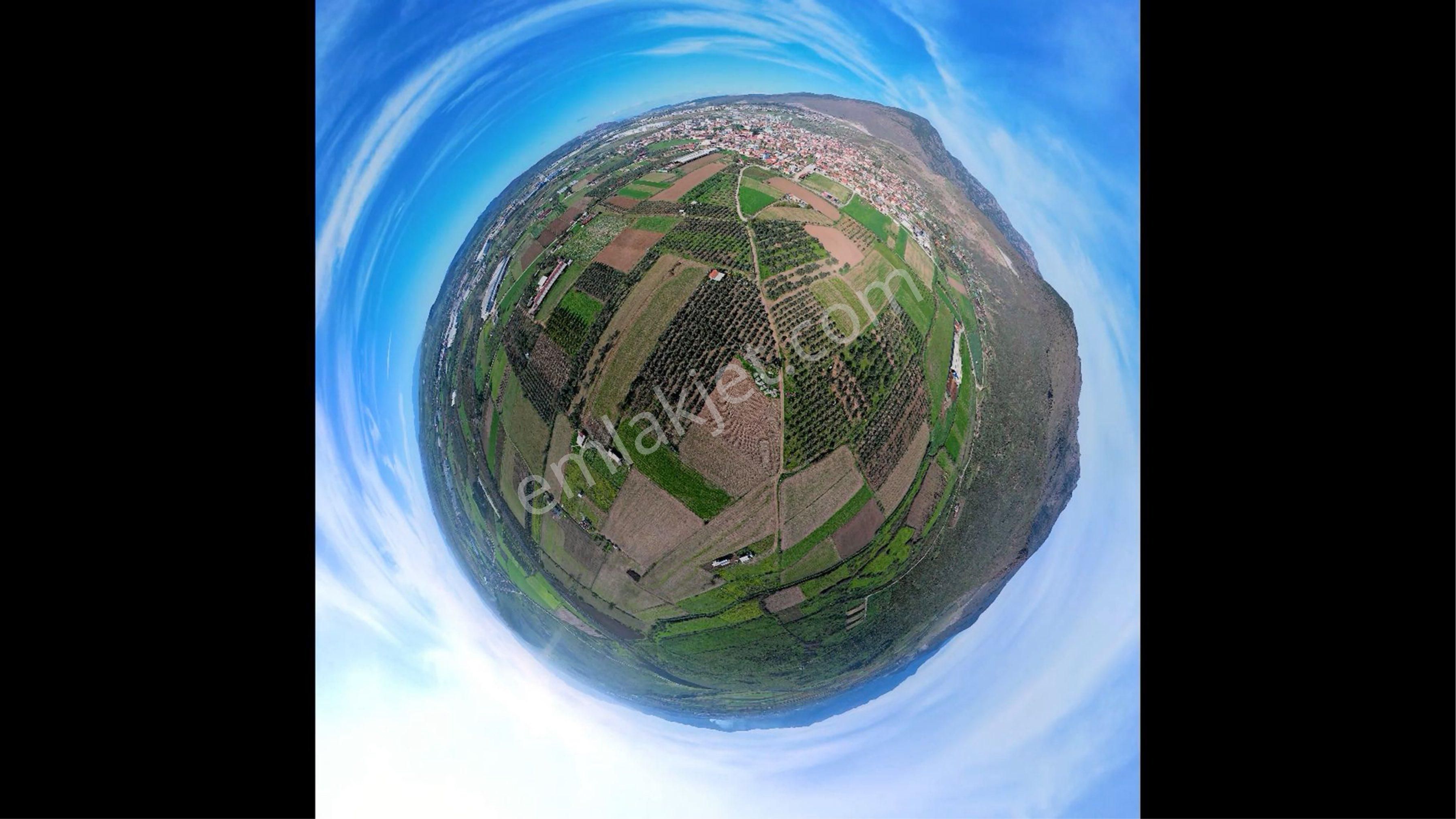 Türkelli Köyün İçinde Satılık Tarla - Görsel 12