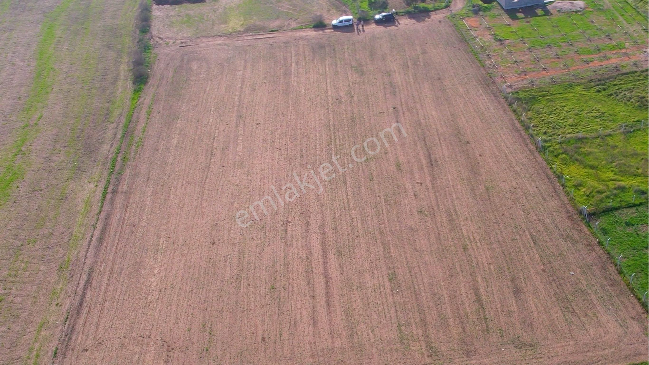 Türkelli Köyün İçinde Satılık Tarla - Görsel 6