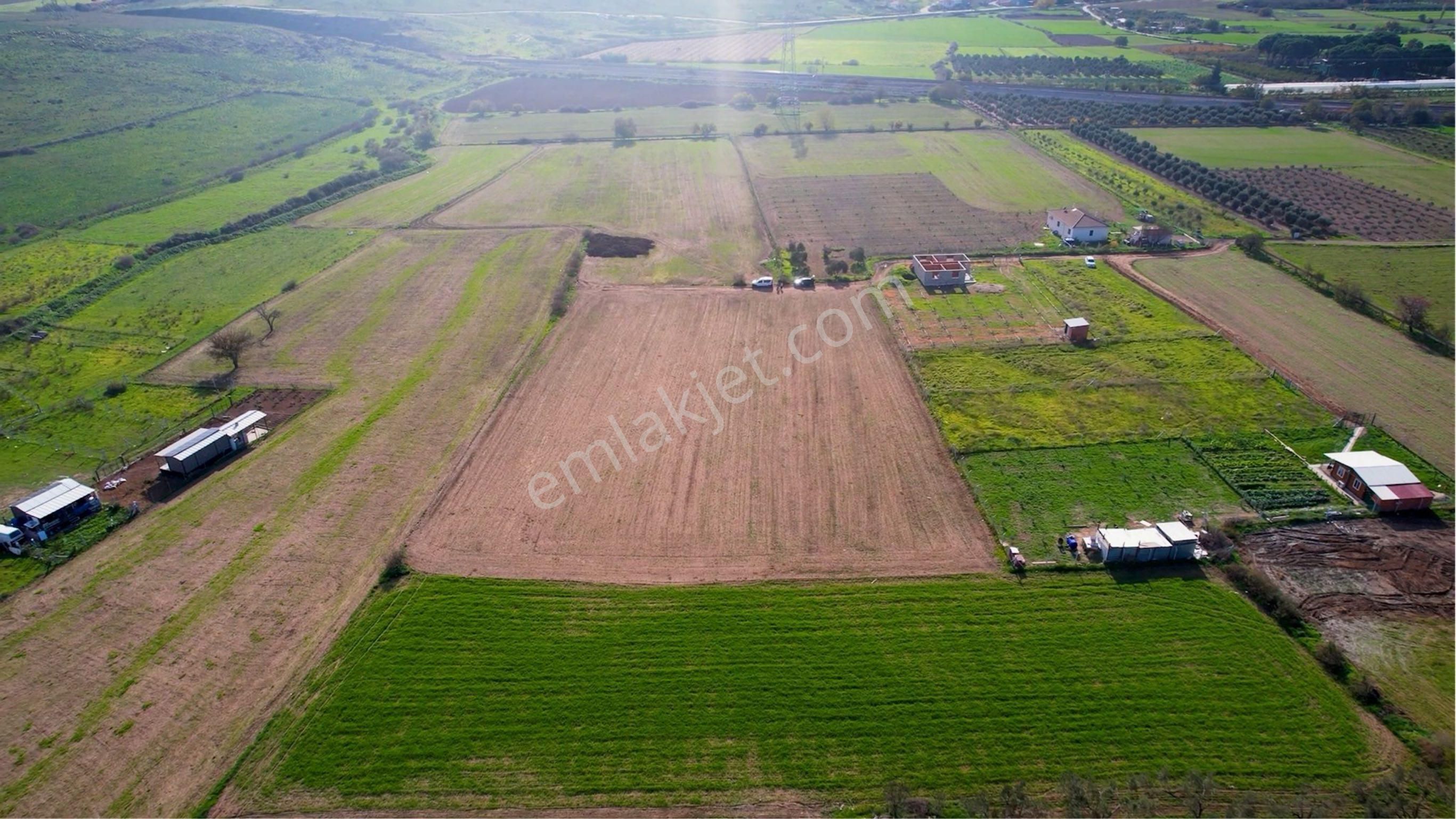 Türkelli Köyün İçinde Satılık Tarla - Görsel 2