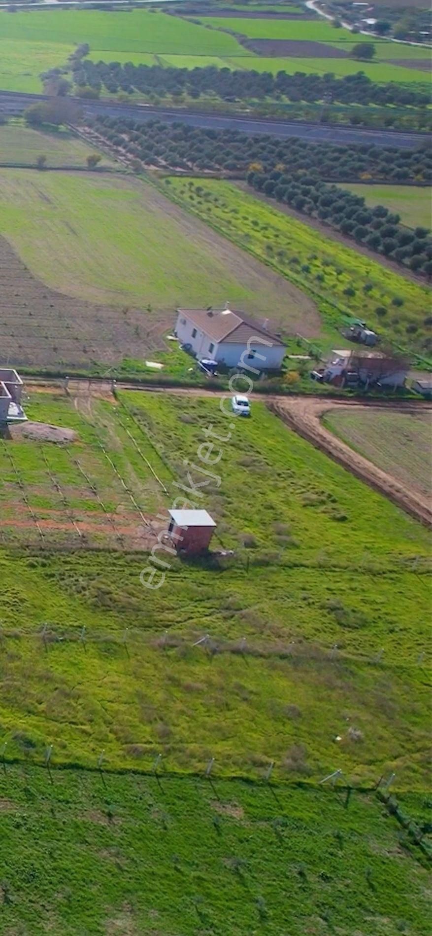 Türkelli Köyün İçinde Satılık Tarla - Görsel 11