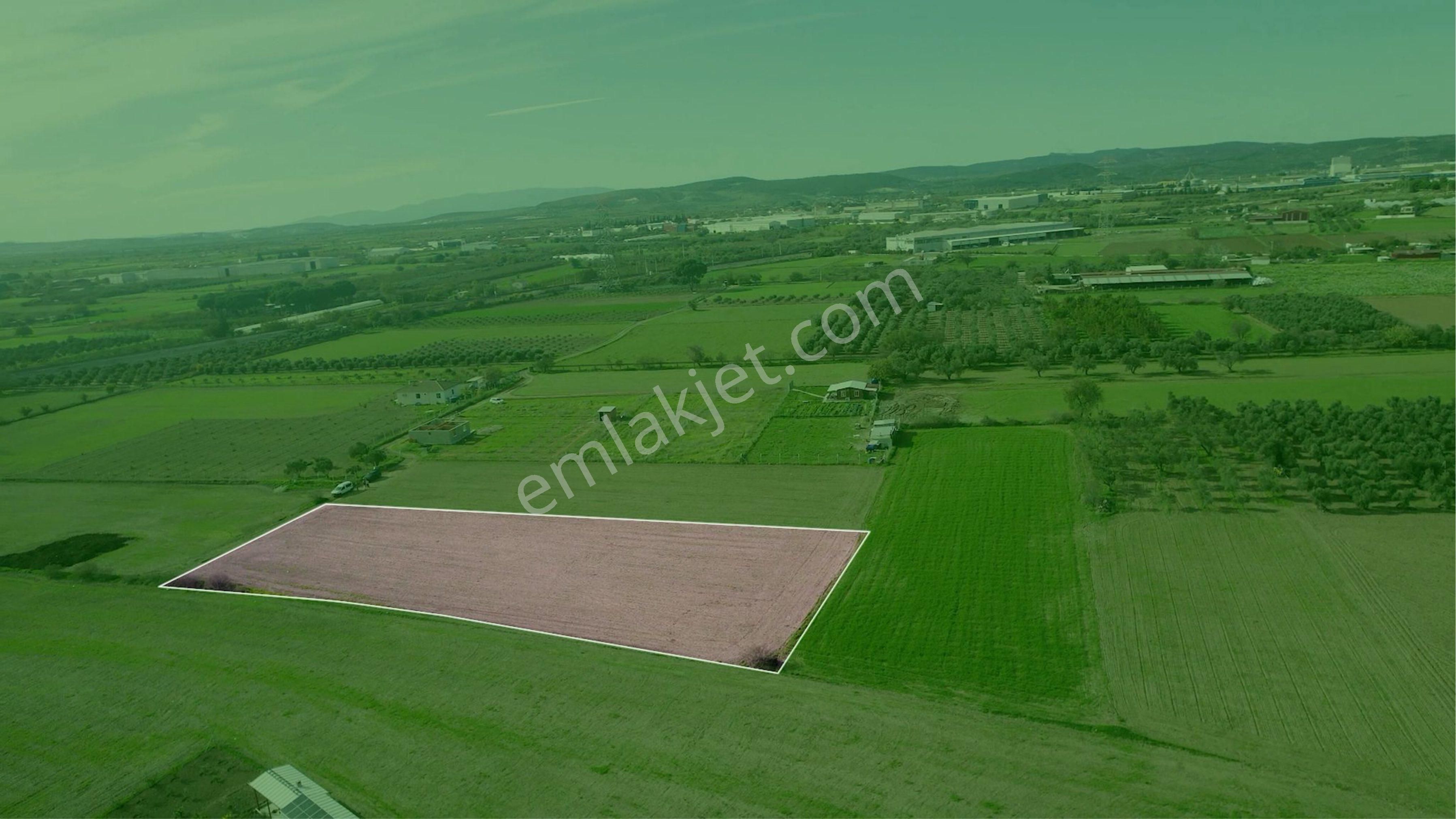 Türkelli Köyün İçinde Satılık Tarla - Görsel 29