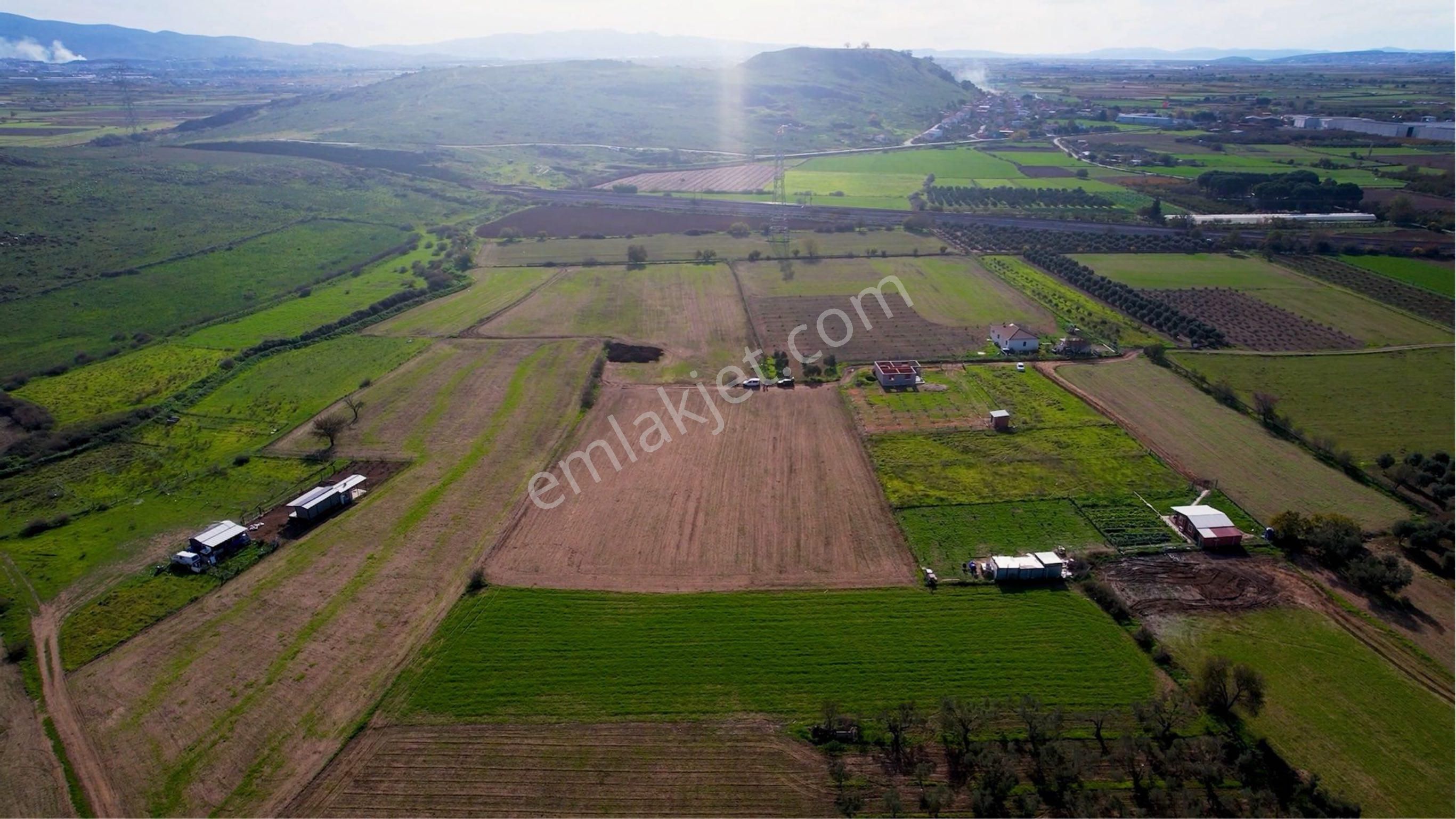 Türkelli Köyün İçinde Satılık Tarla - Görsel 30