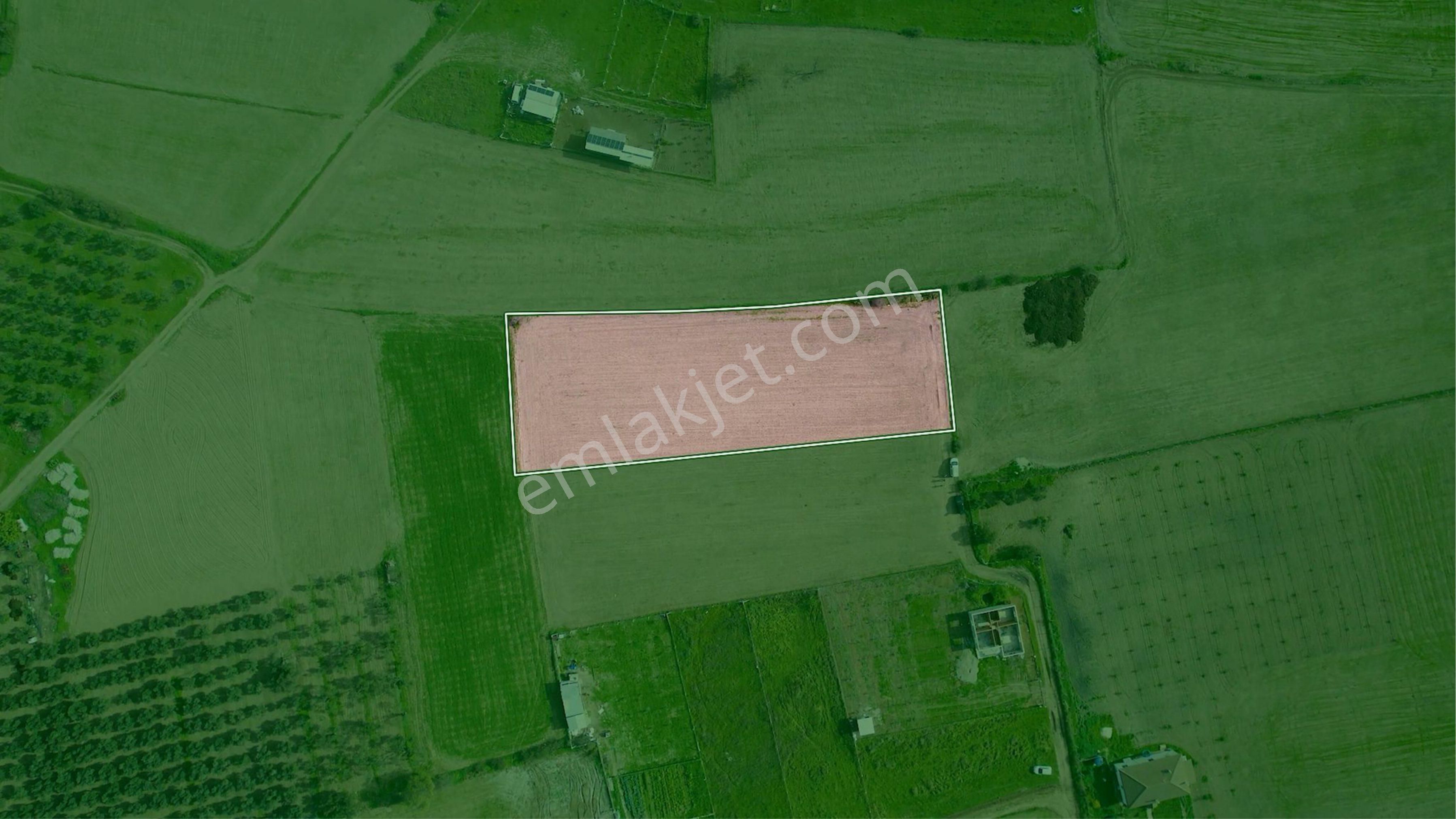 Türkelli Köyün İçinde Satılık Tarla - Görsel 28