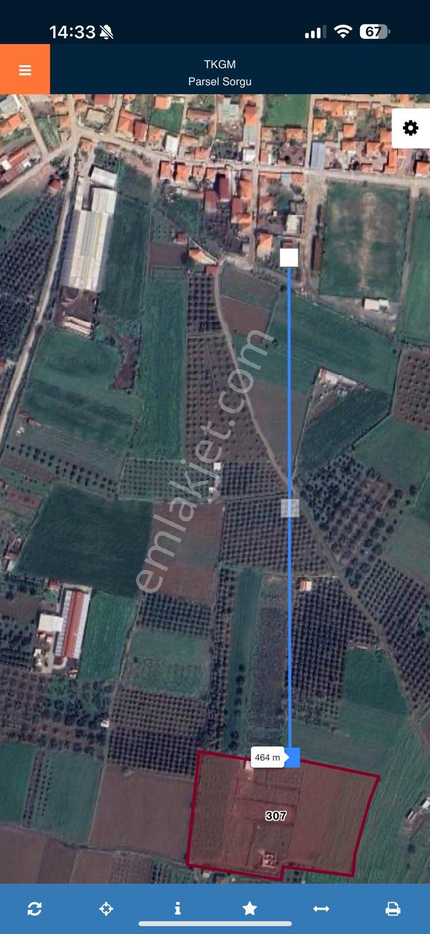 Türkelli Köyün İçinde Satılık Tarla - Görsel 34